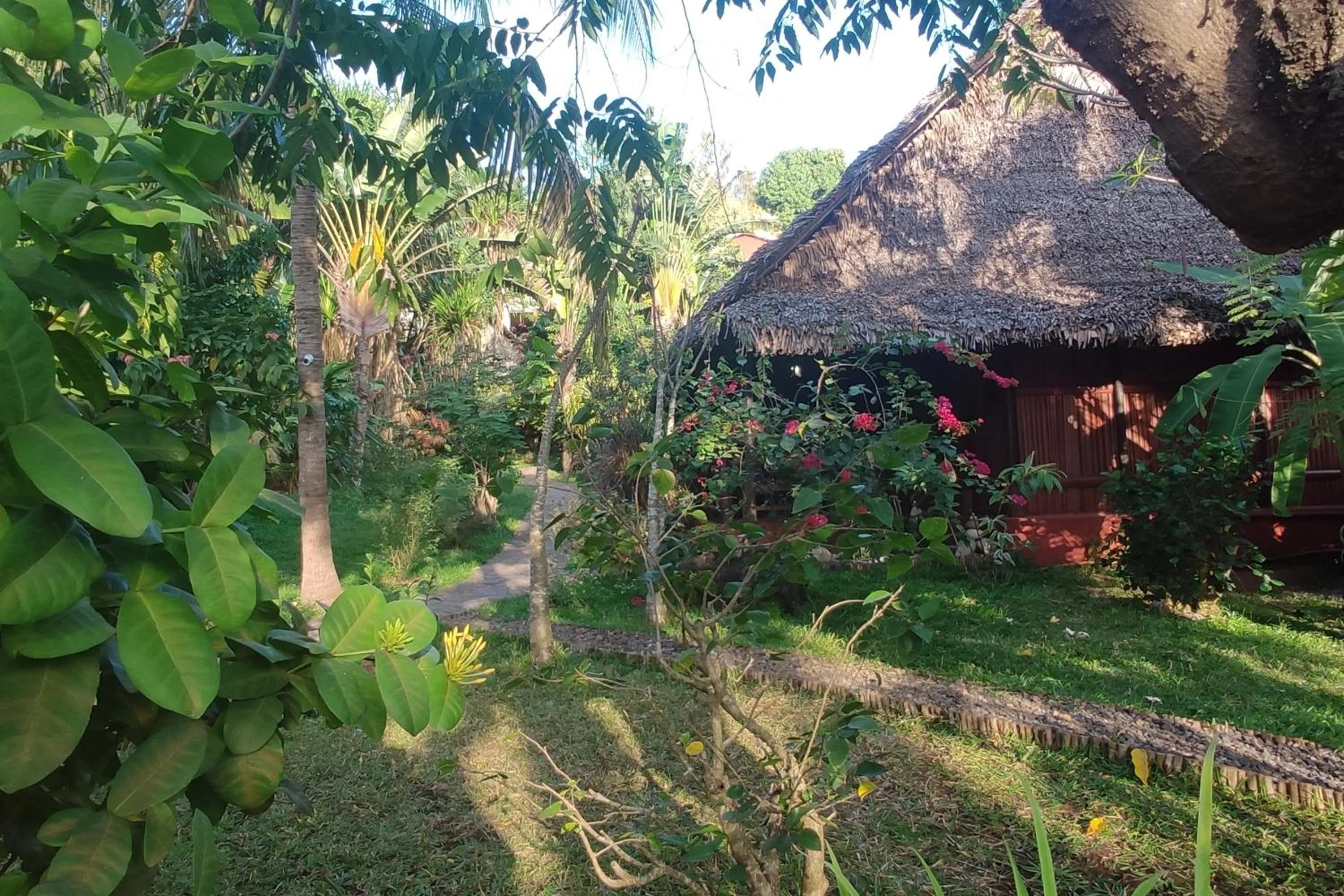 Patio in Clair de Lune