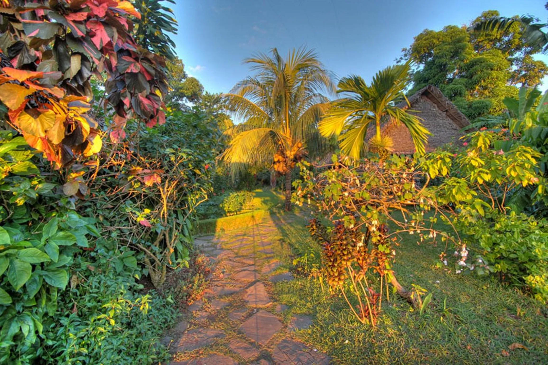Garden in Clair de Lune