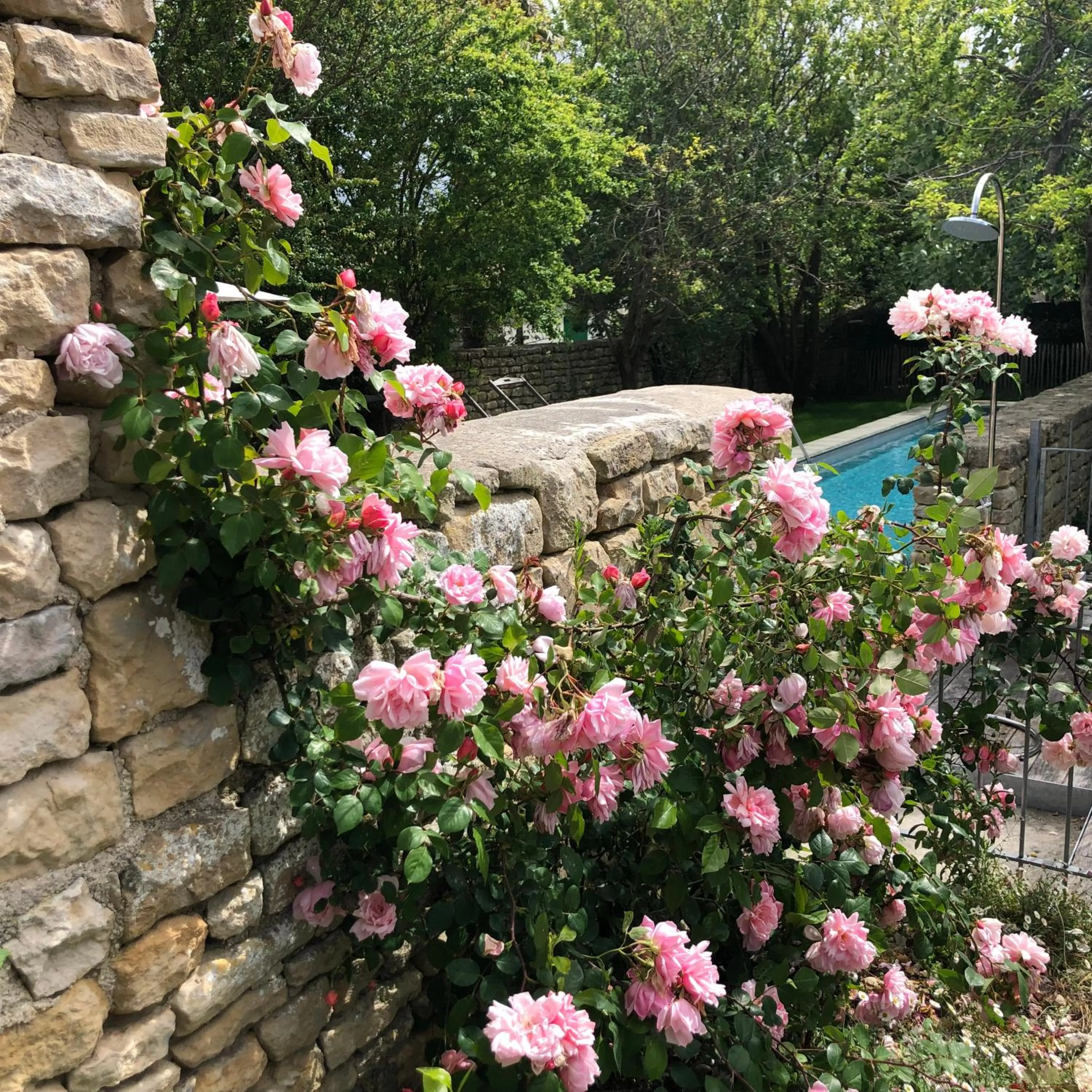 Hôtel Le Sénéchal