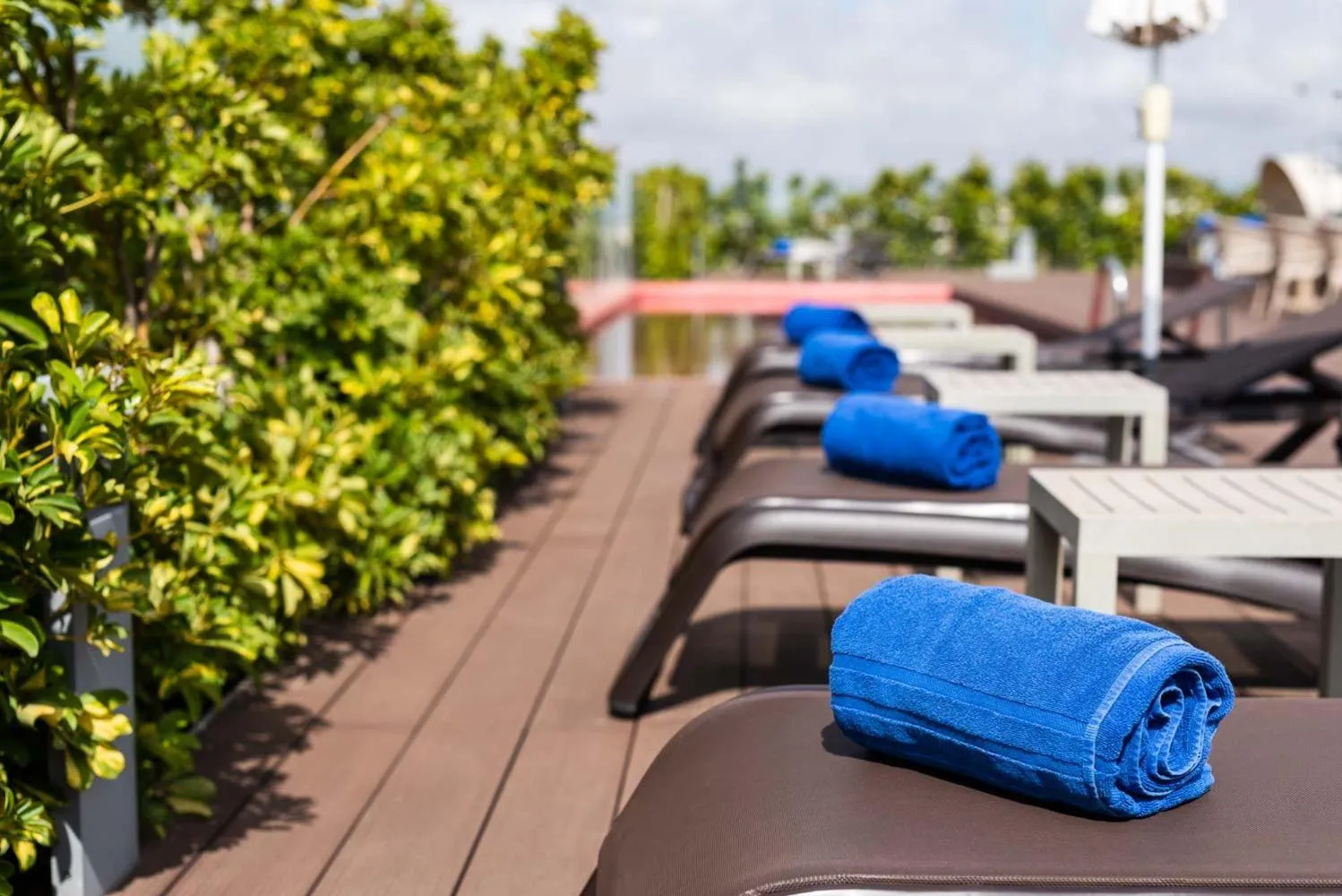 Swimming pool in Domo Casablanca