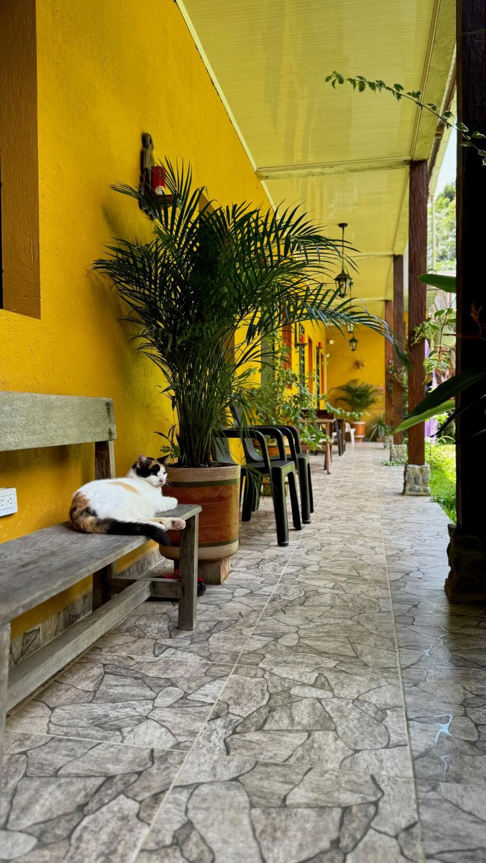 Day in Posada Turística Rocas De Cabo Marzo