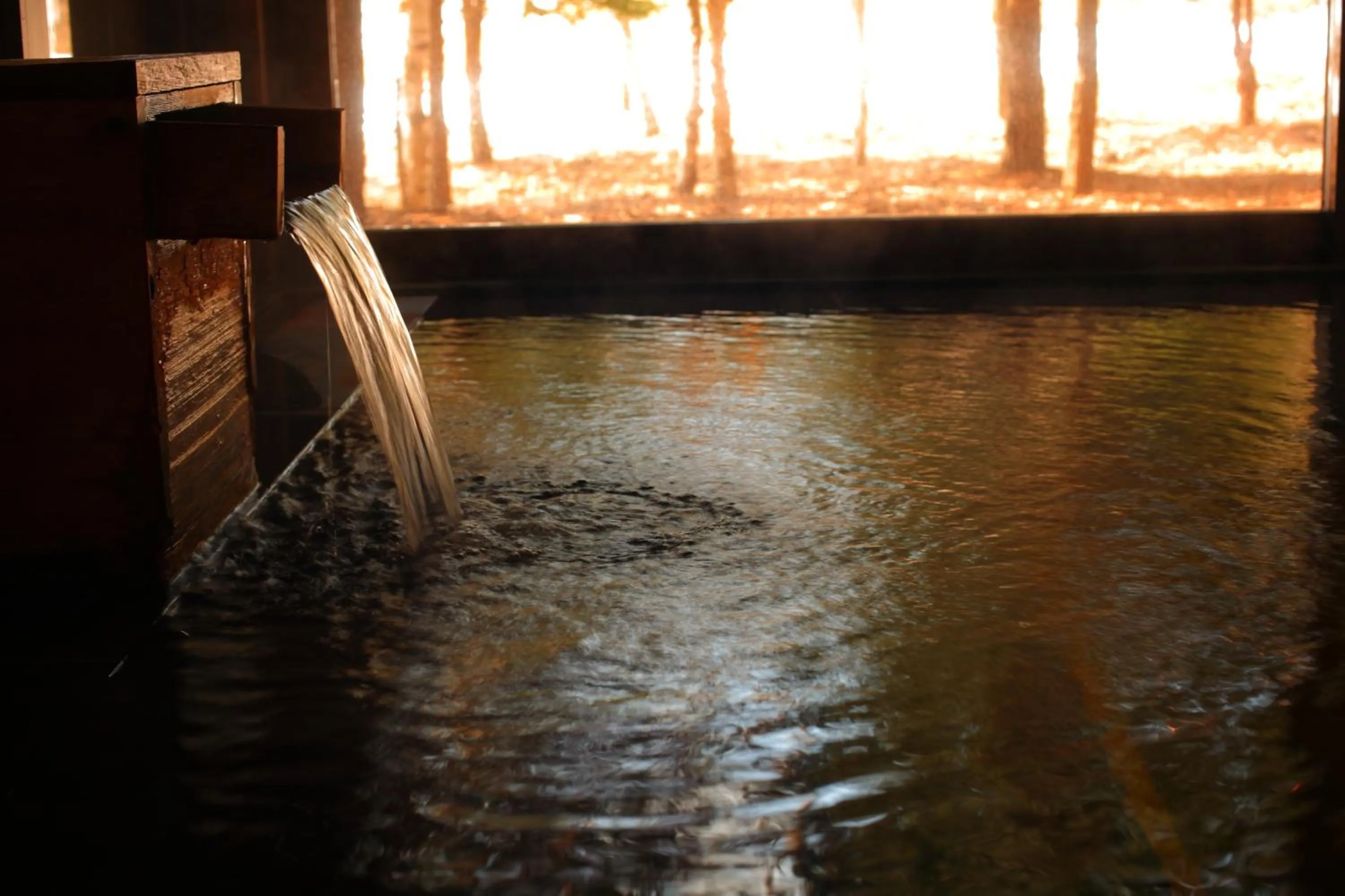 Hot Spring Bath in Tsutaya Tokinoyado Kazari