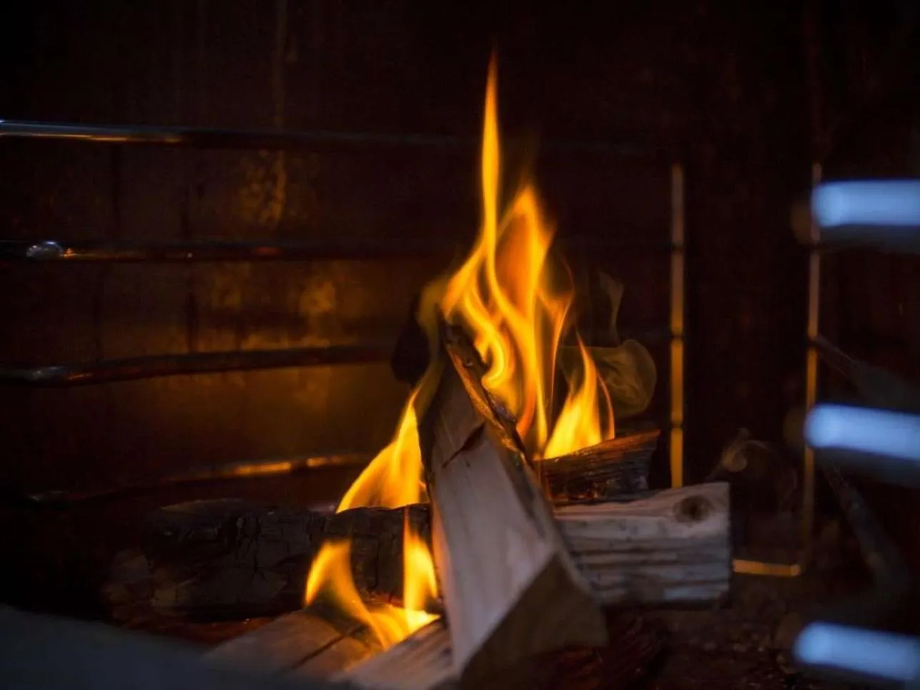 Tsutaya Tokinoyado Kazari