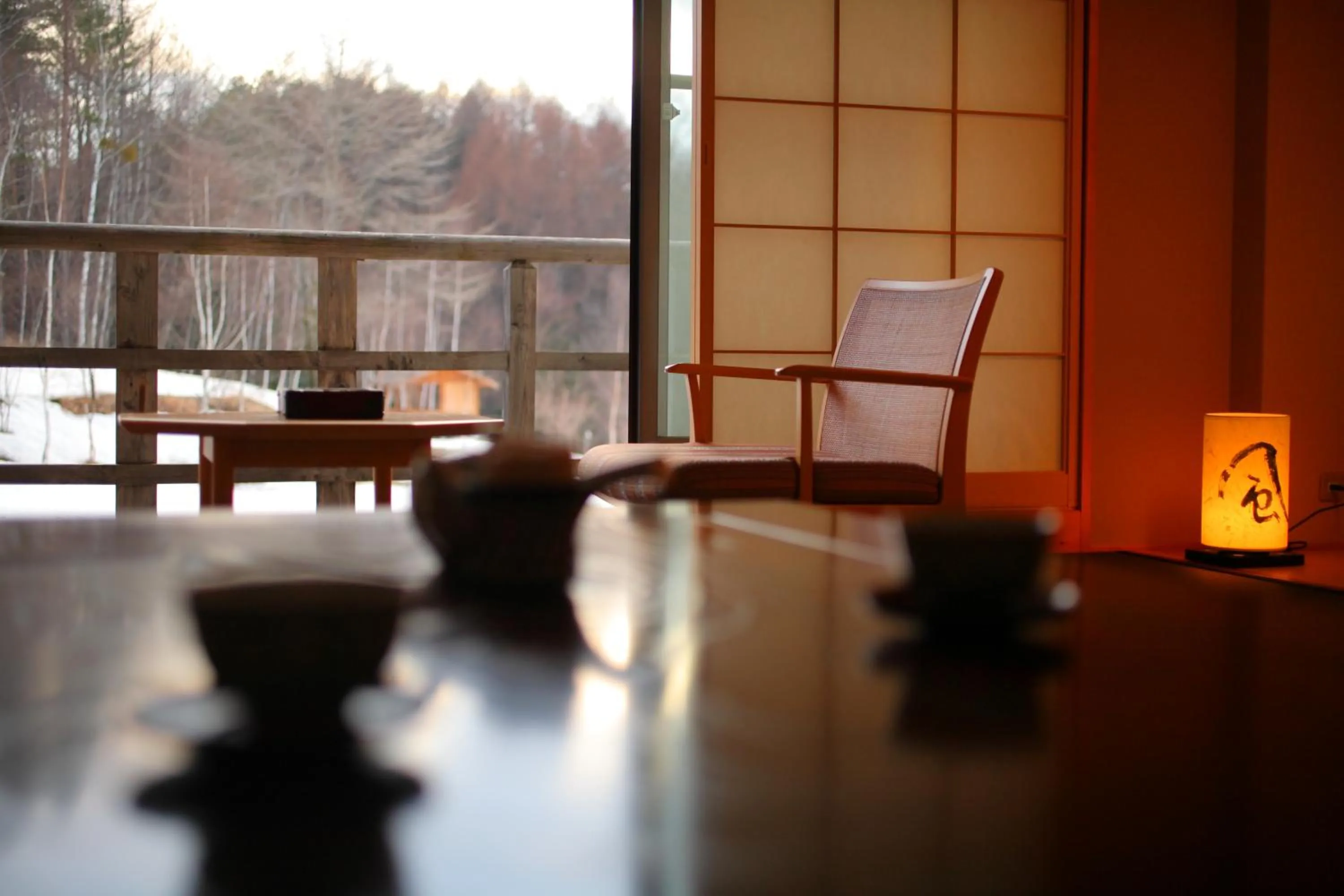 Photo of the whole room in Tsutaya Tokinoyado Kazari