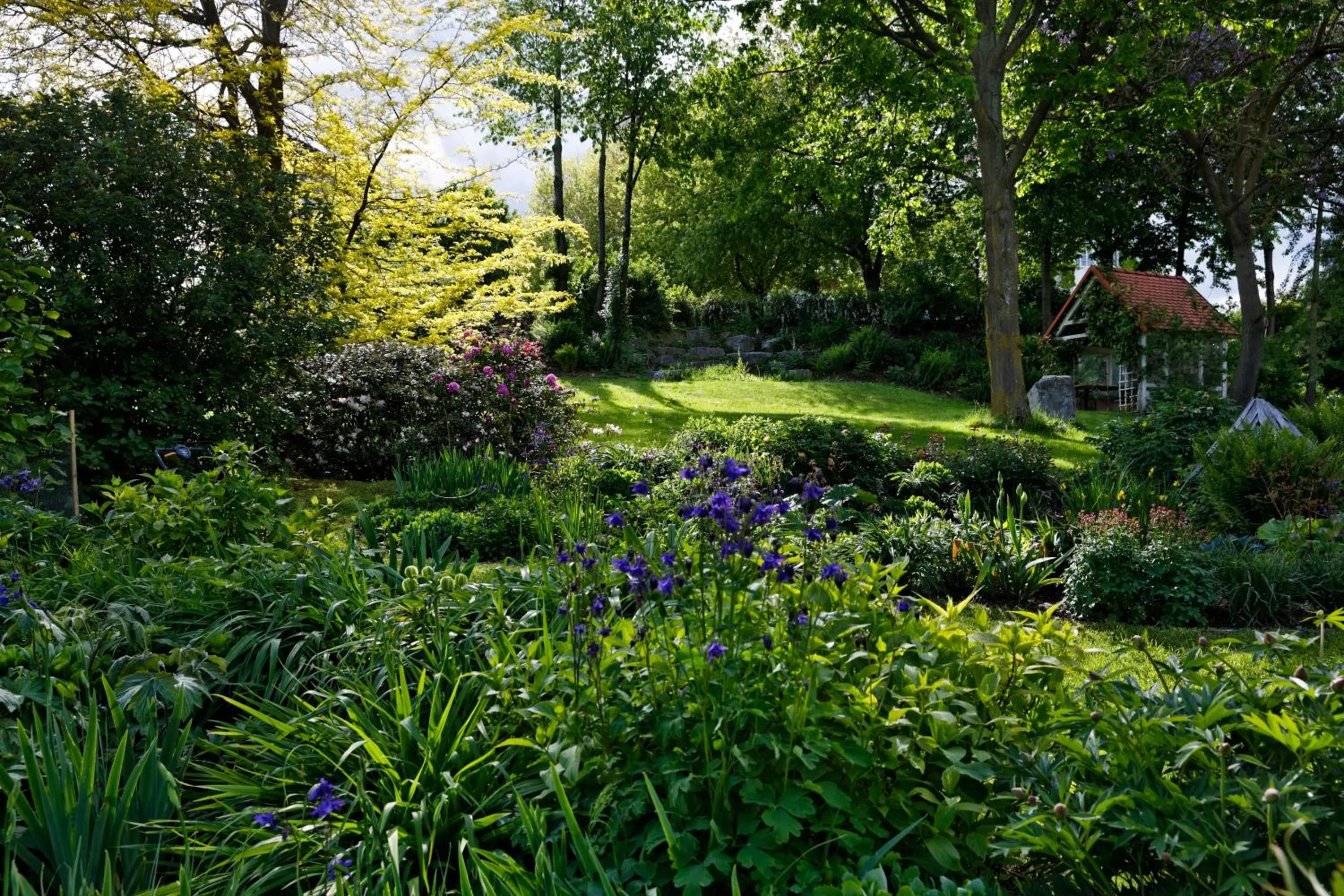 Natural landscape in Der Ederer