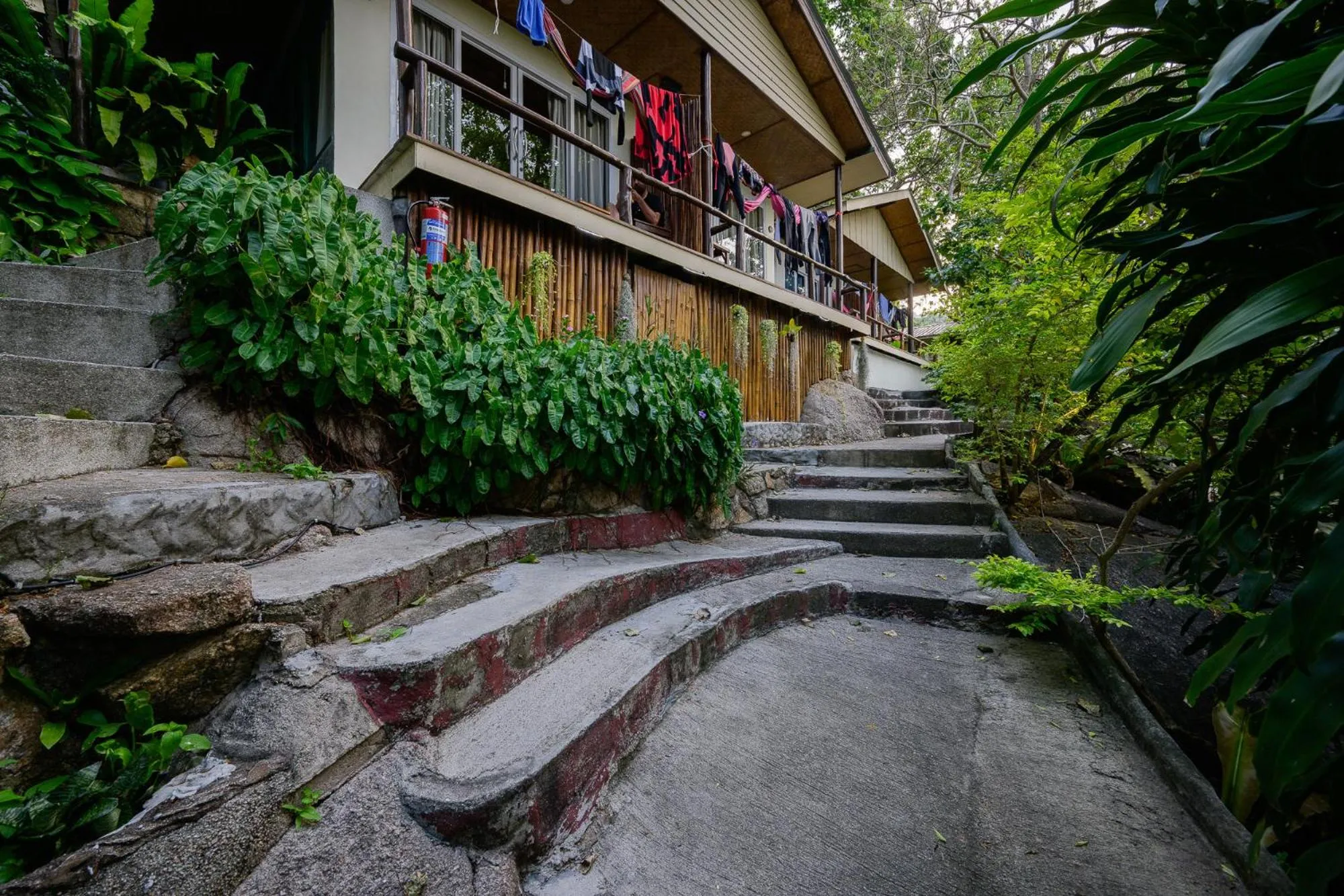 Property building in Bubble Bungalow