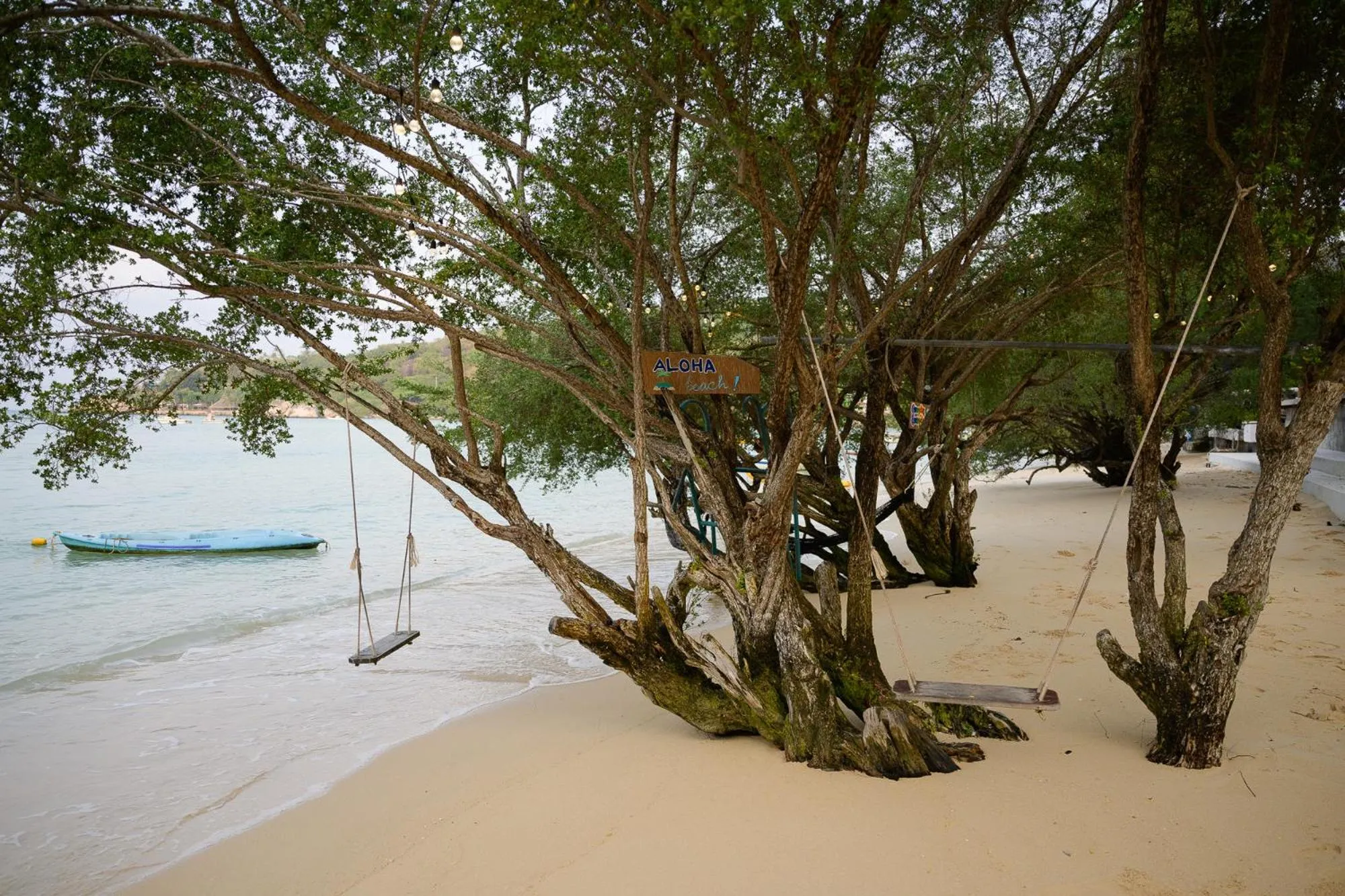 Natural landscape in Bubble Bungalow