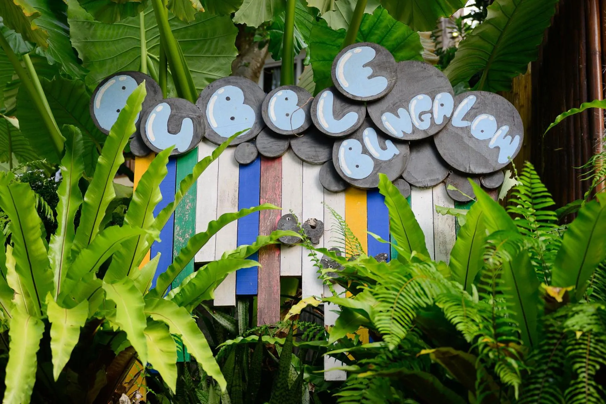 Natural landscape in Bubble Bungalow