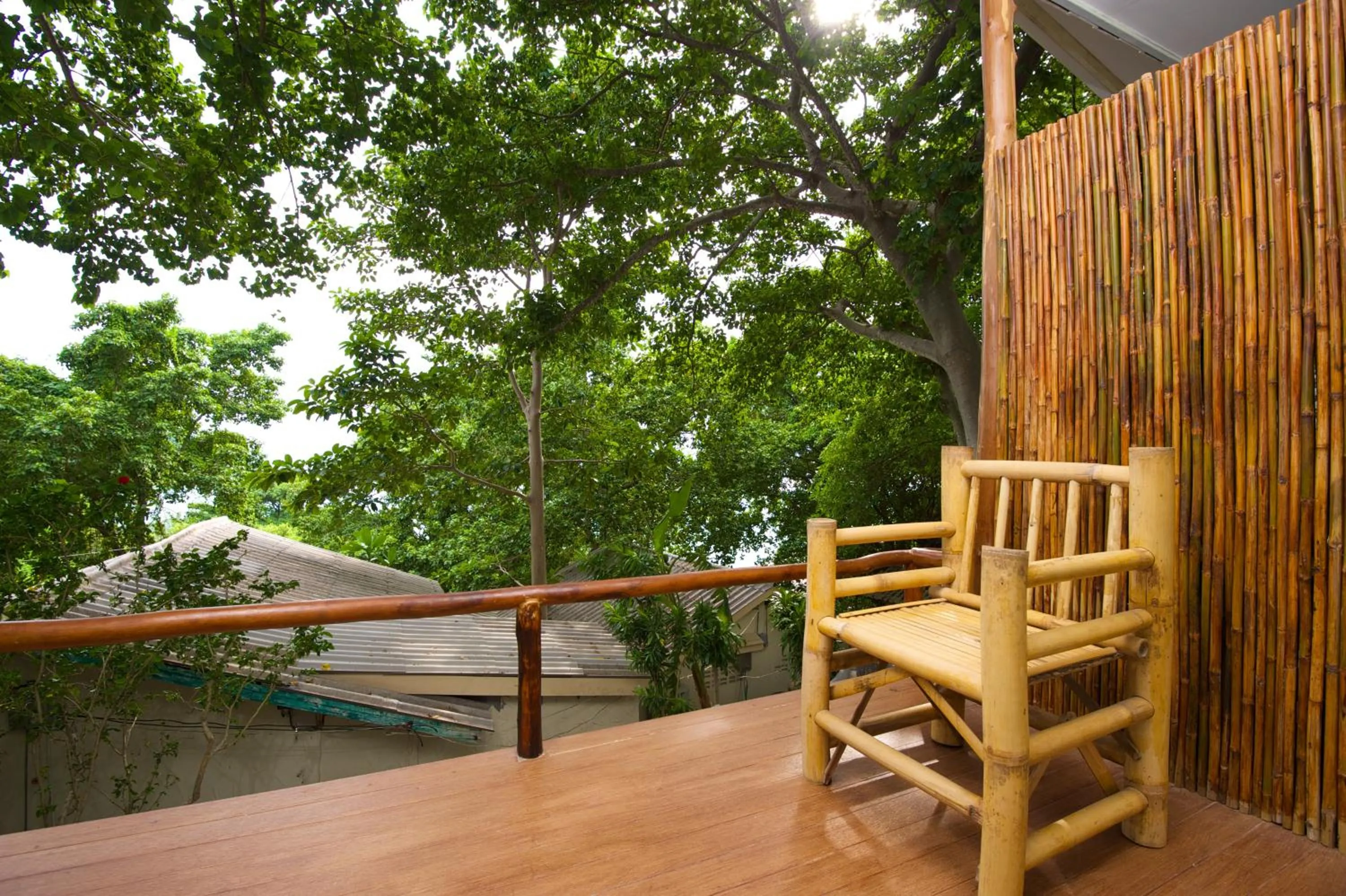 Day in Bubble Bungalow