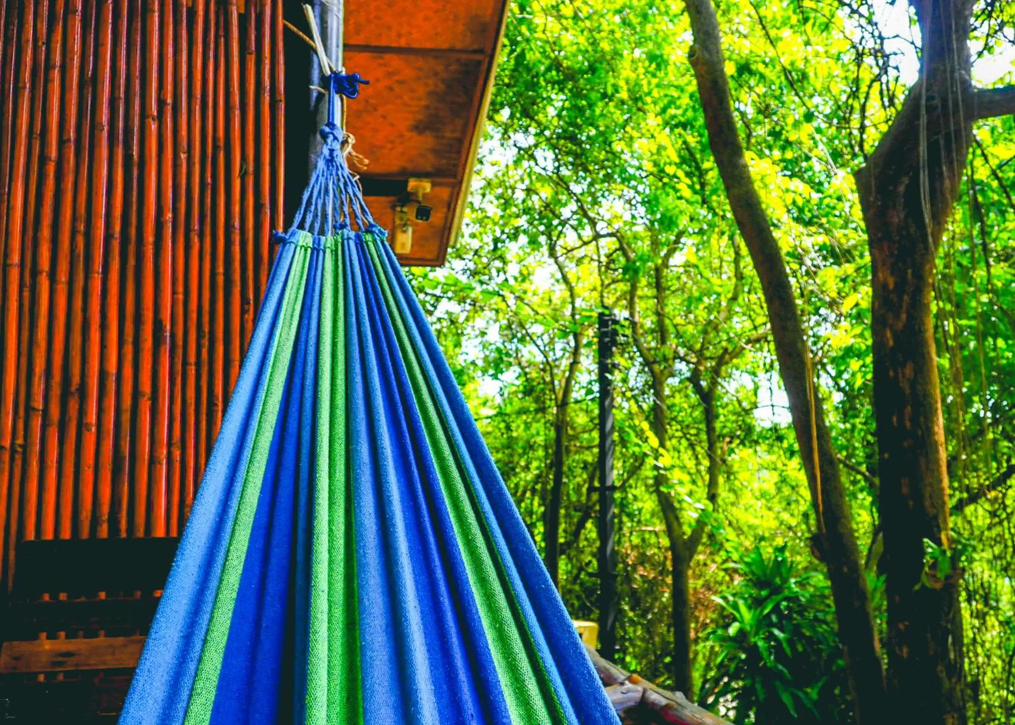cot in Bubble Bungalow