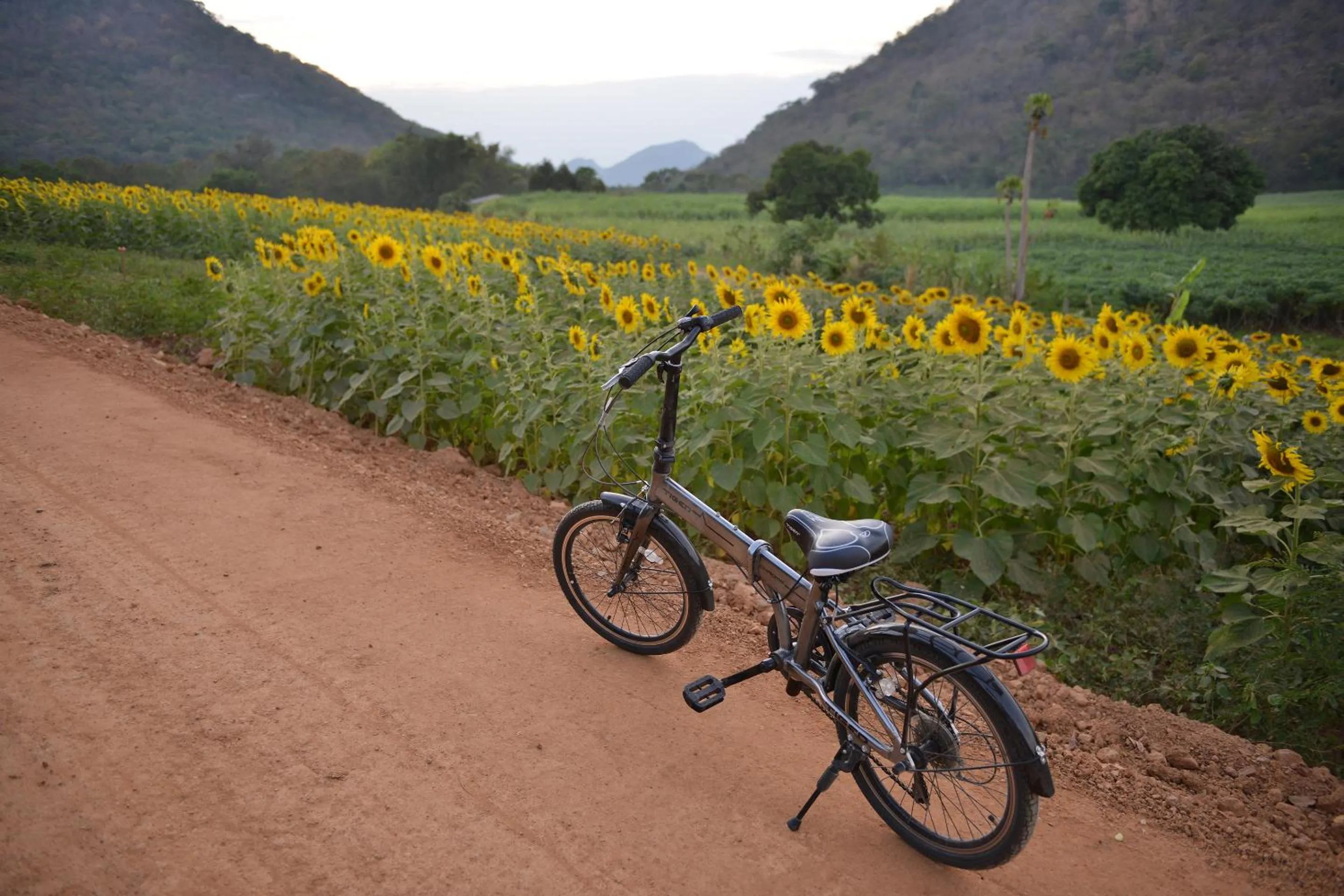 Cycling in Mela Garden Retreat Cottage
