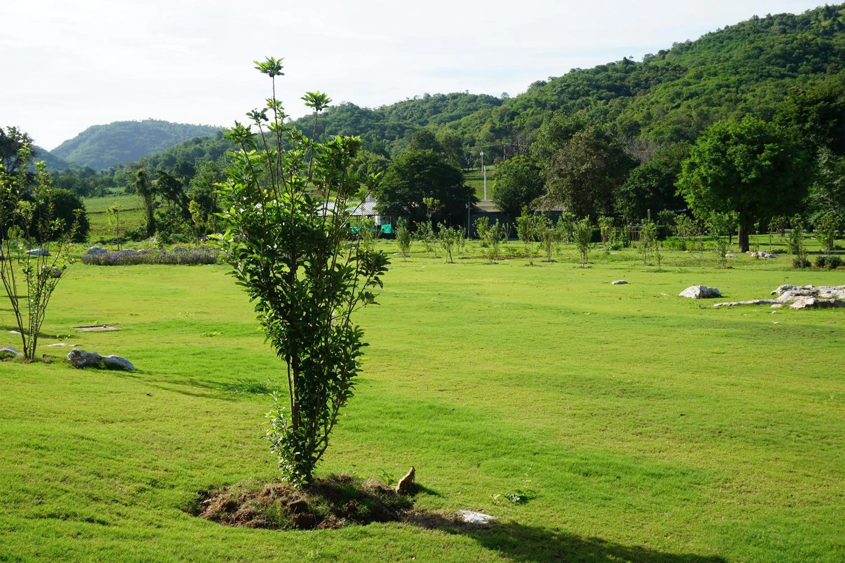 Natural landscape in Mela Garden Retreat Cottage