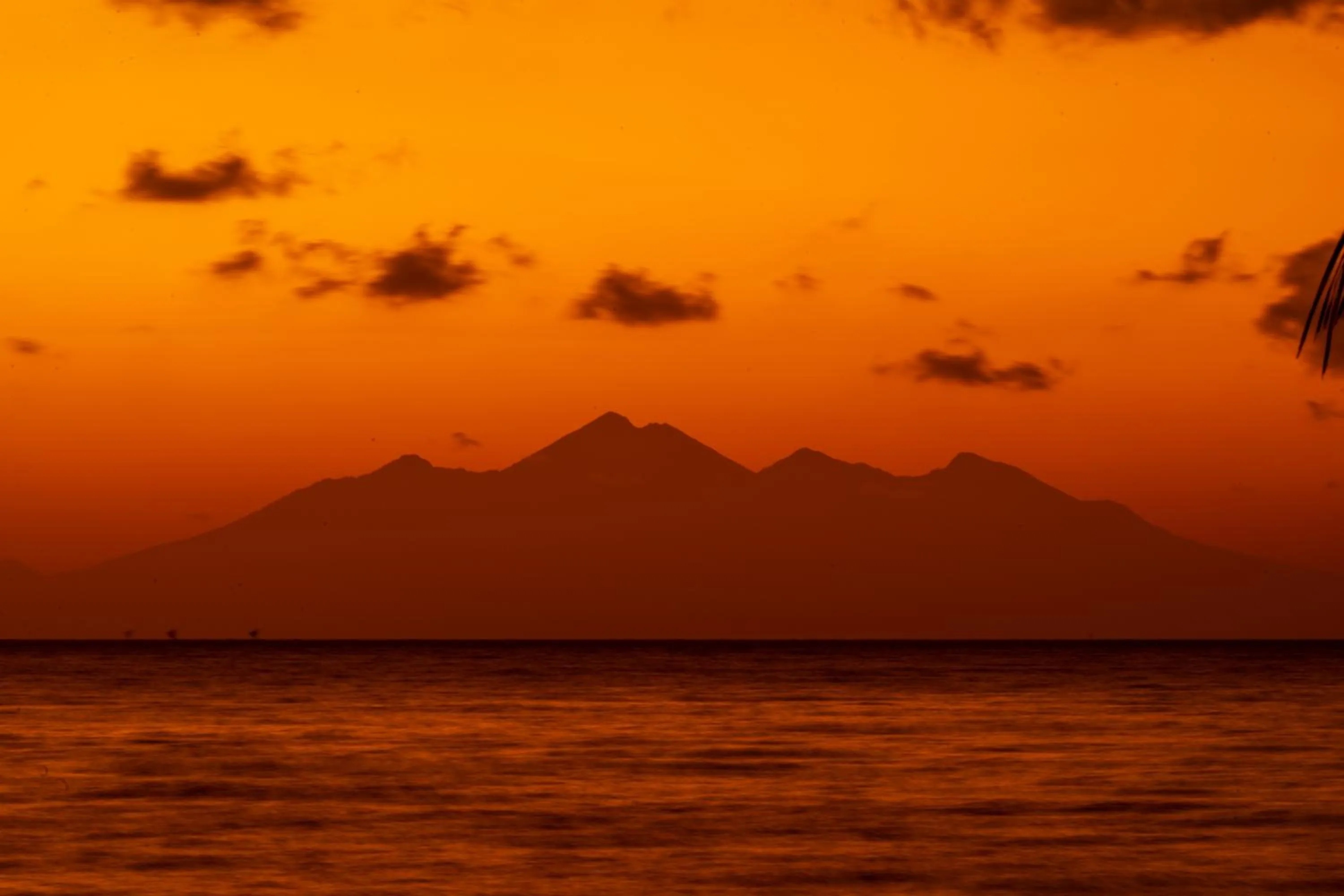 Sea view in Relax Bali Dive & SPA ocean front resort