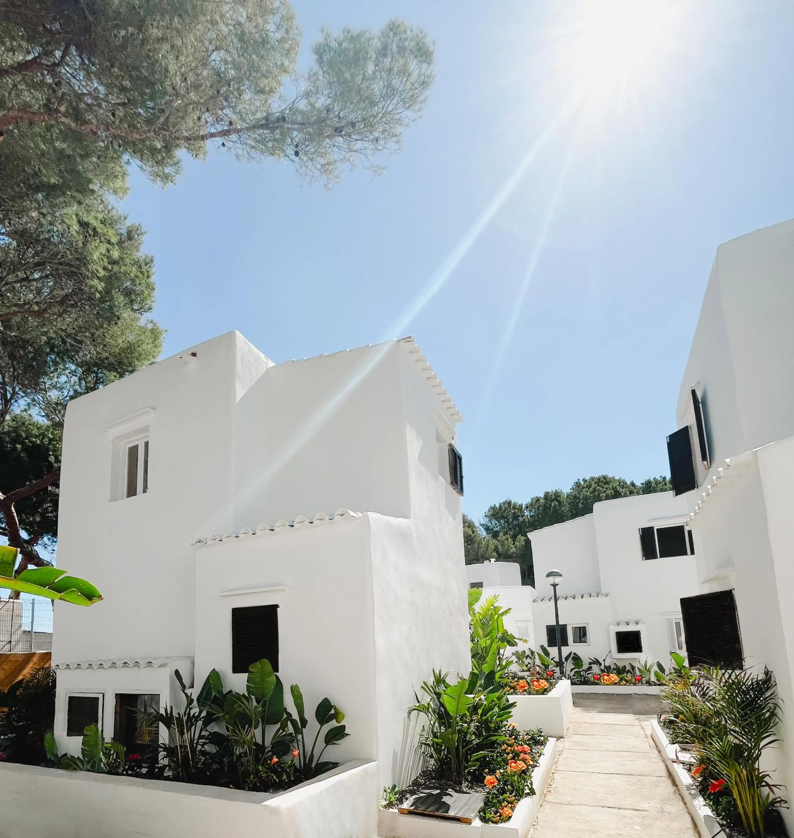 Property building in FERGUS Style Punta Arabi