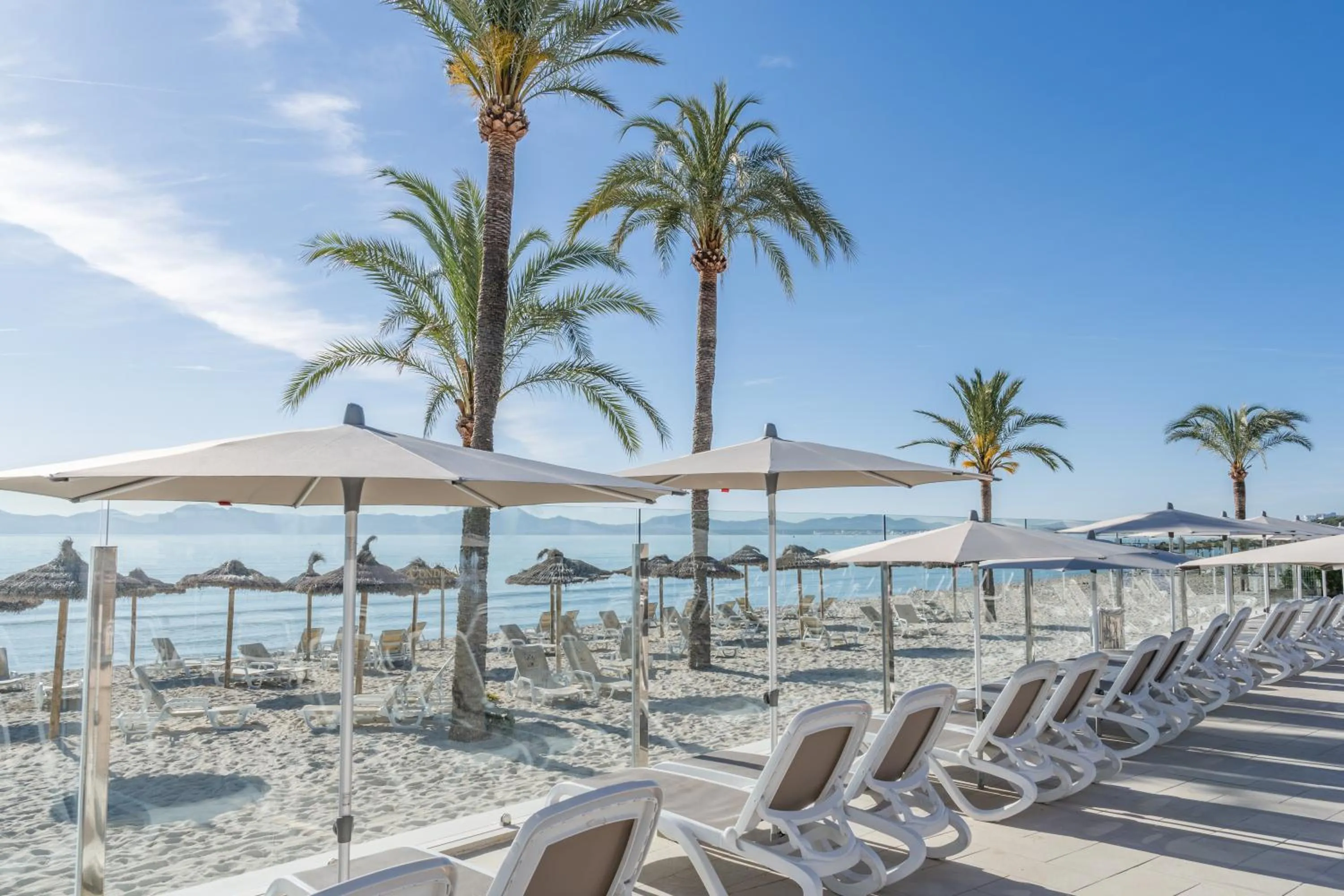 Beach in Hotel Condesa