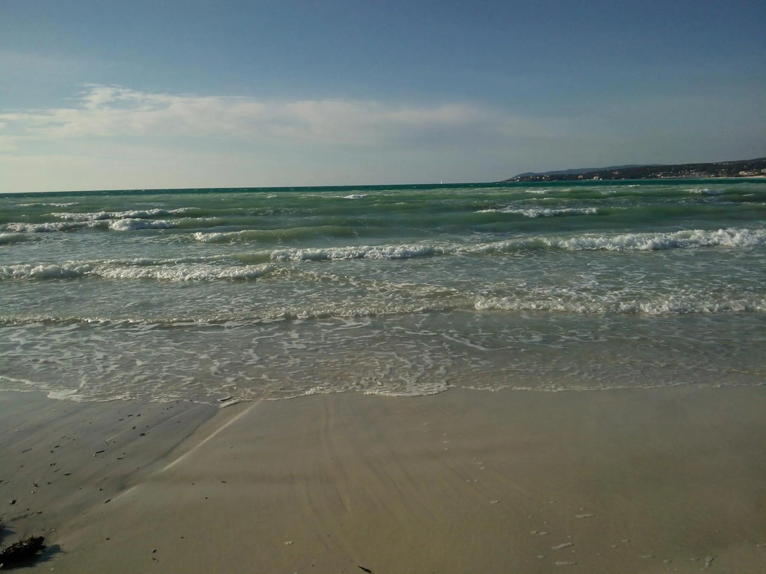 Beach in Hotel Ellymar