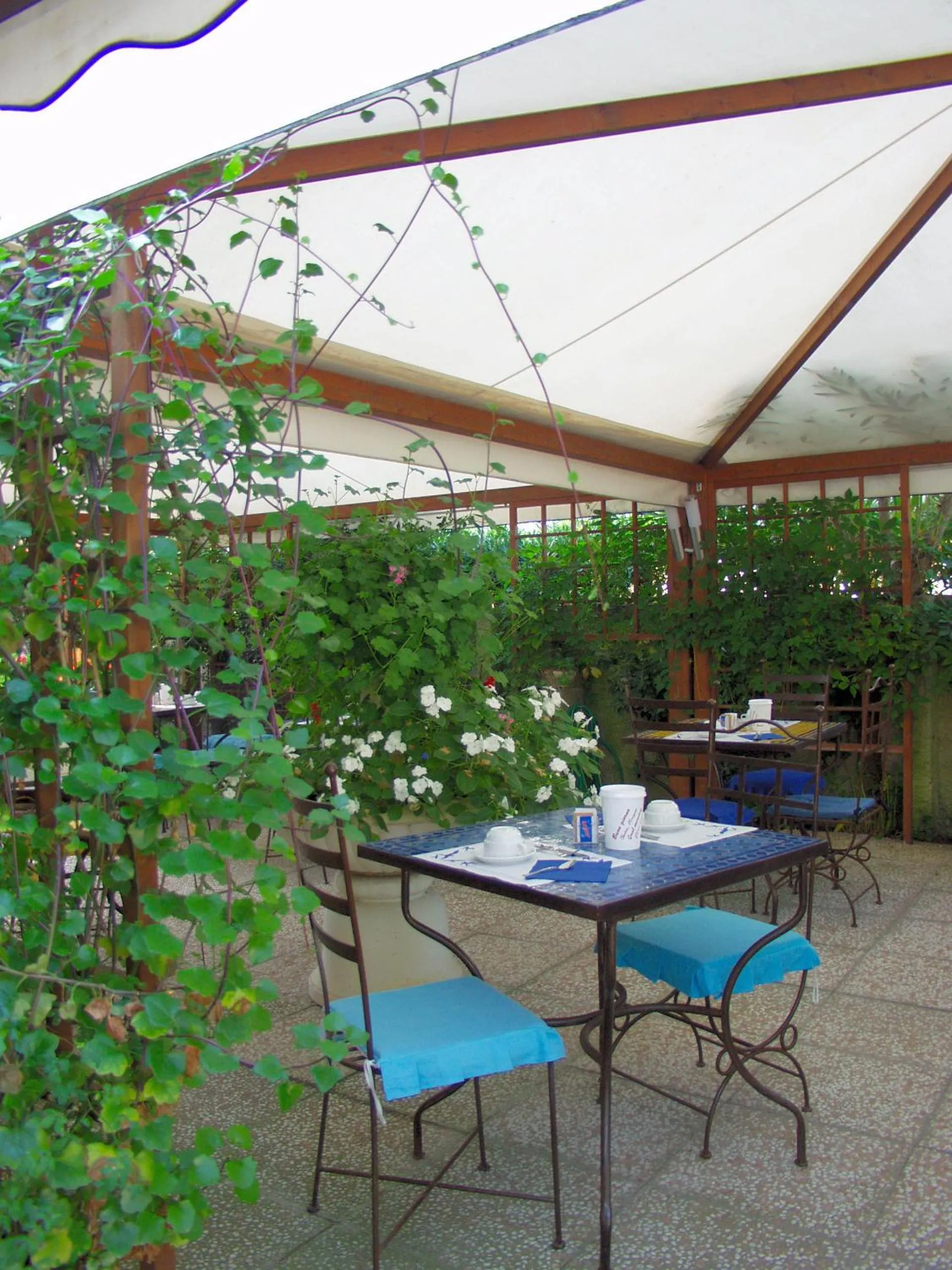 Restaurant/places to eat in Hotel Ellymar