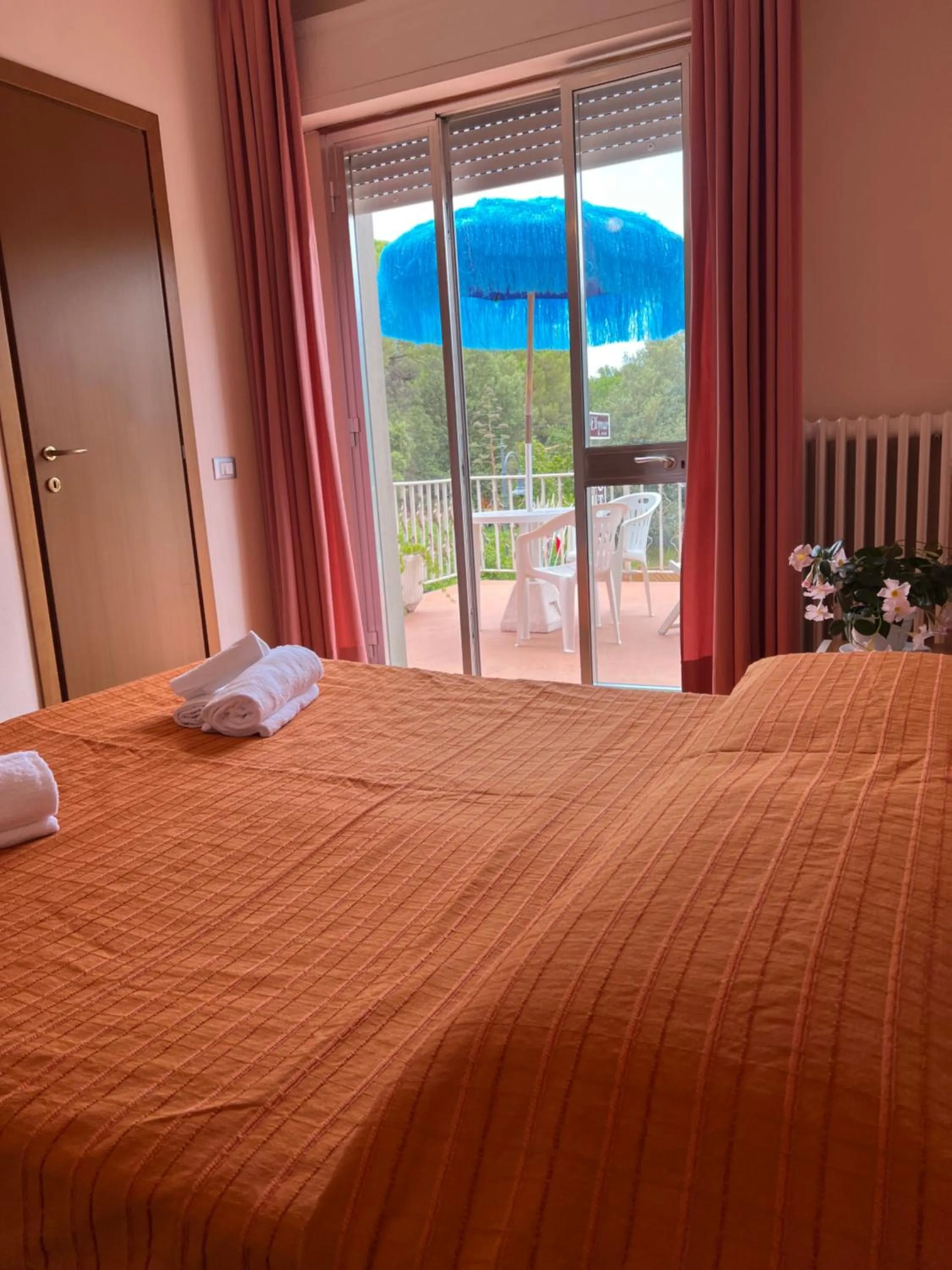 Balcony/Terrace in Hotel Ellymar