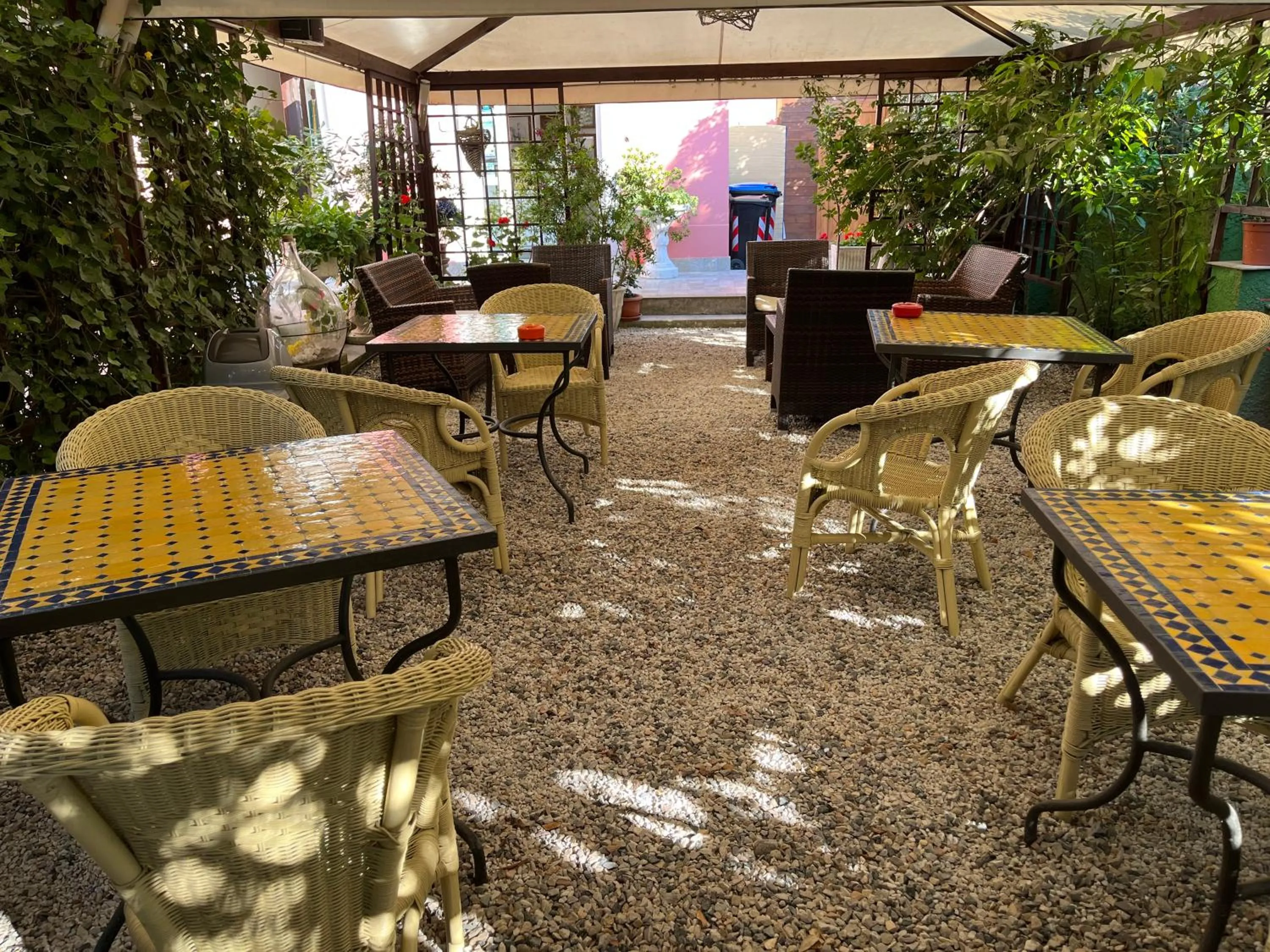 Garden in Hotel Ellymar