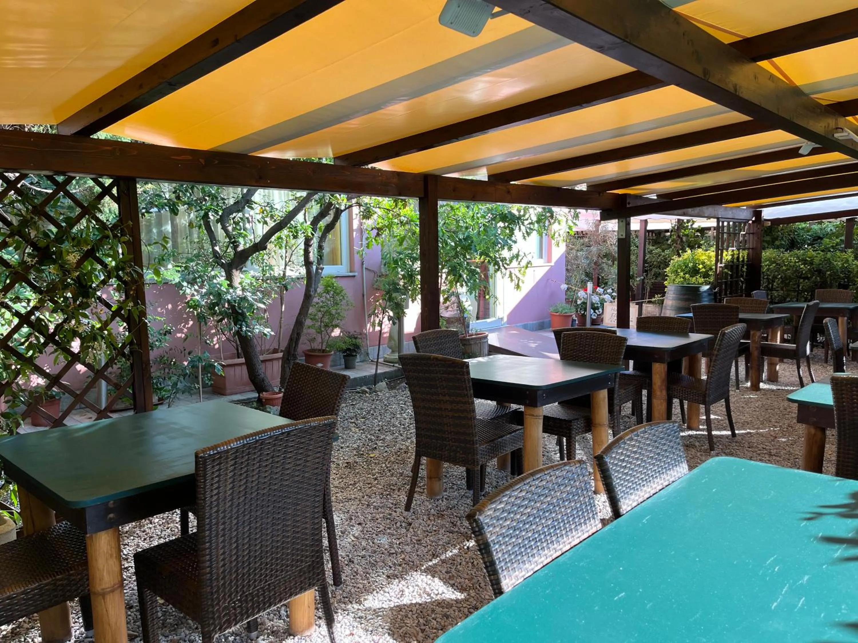 Garden in Hotel Ellymar