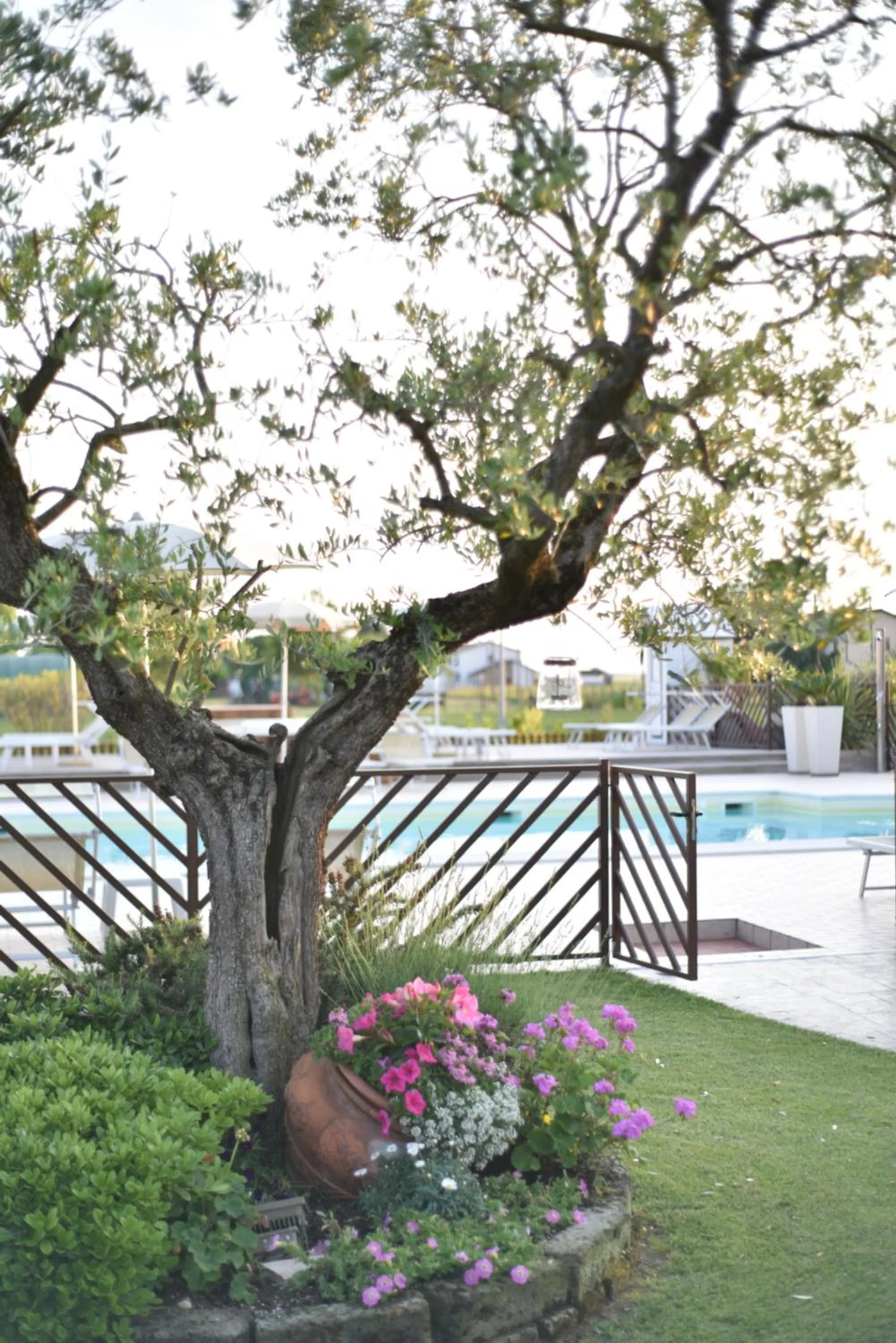 Garden in Agriturismo B&B Vista Parco