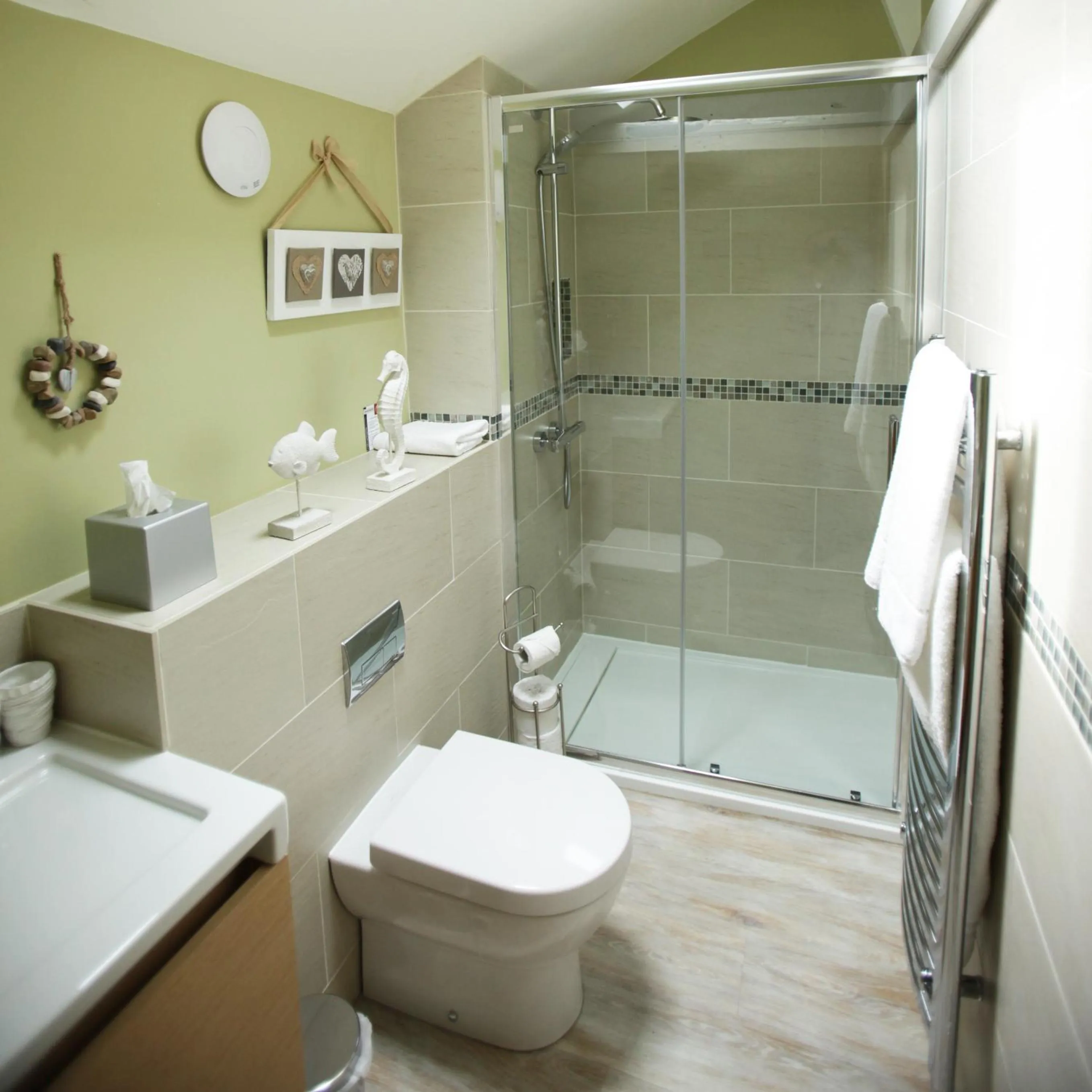 Shower in The Black Horse at Ireland