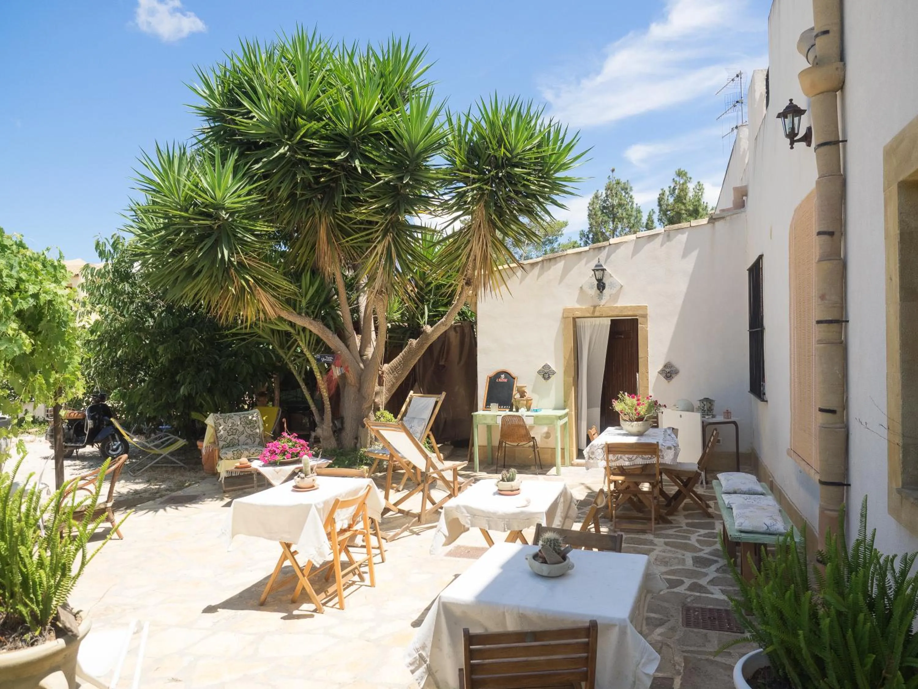 Garden in B&B Le Macine 1868