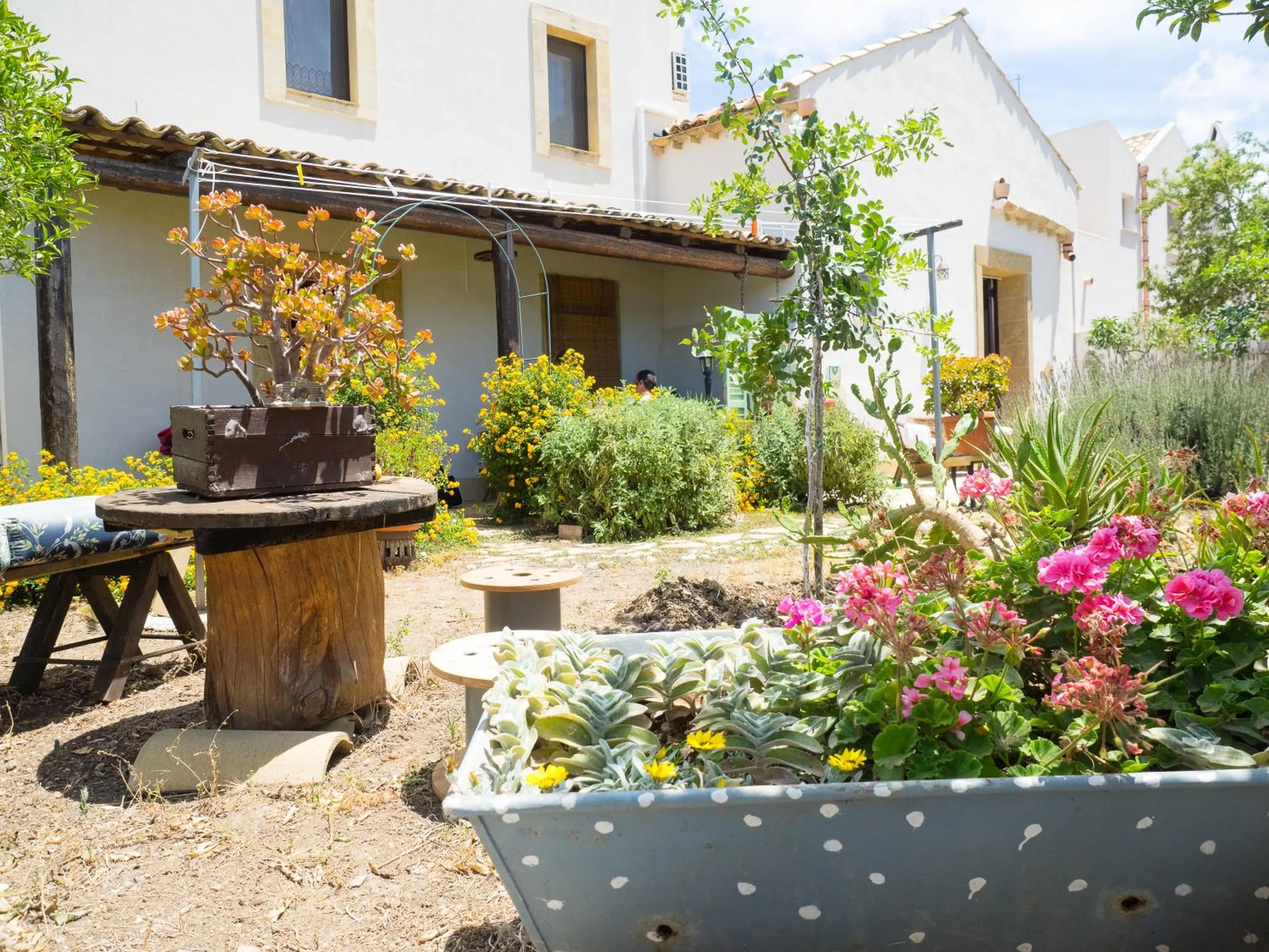 Garden in B&B Le Macine 1868