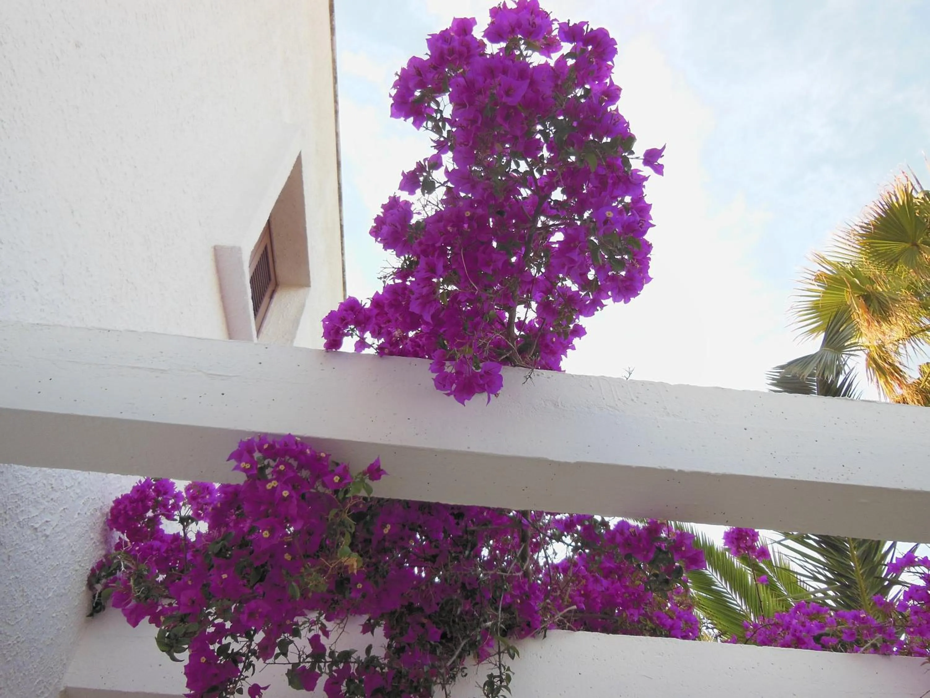 Decorative detail in Residence Club Barbara