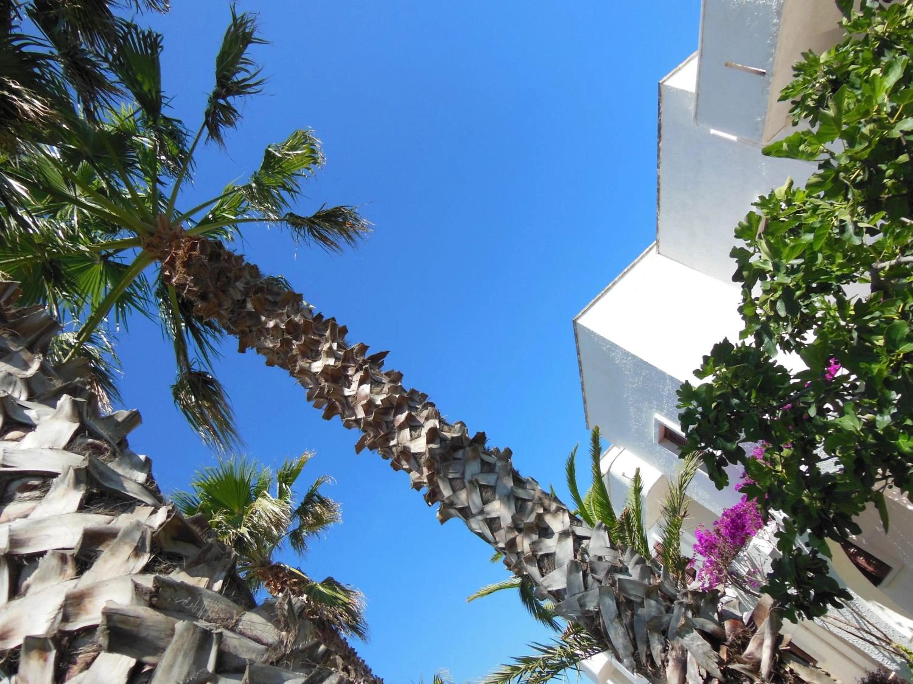 Garden in Residence Club Barbara