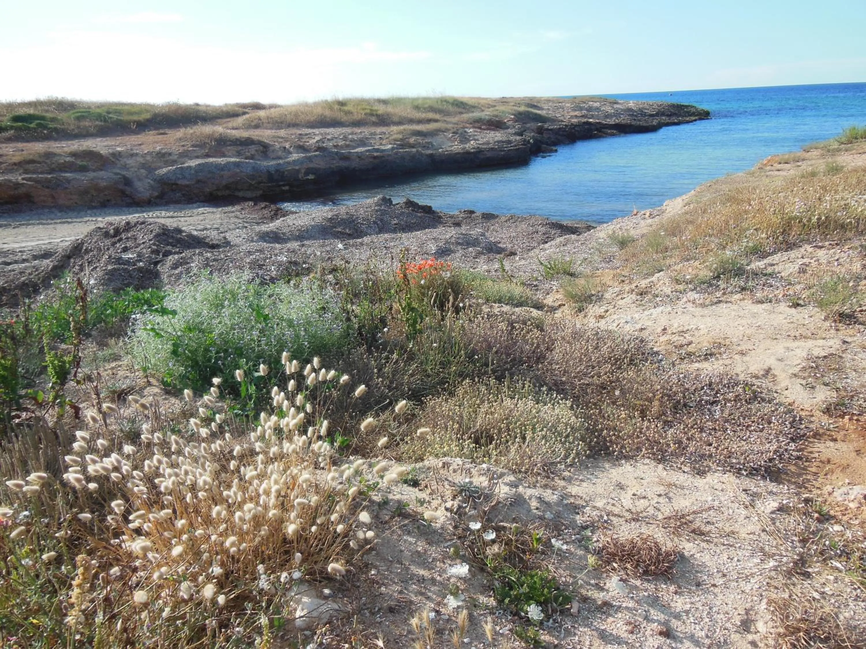Area and facilities in Residence Club Barbara