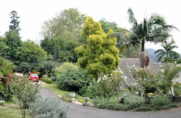 Garden view in A Garden Suite B&B