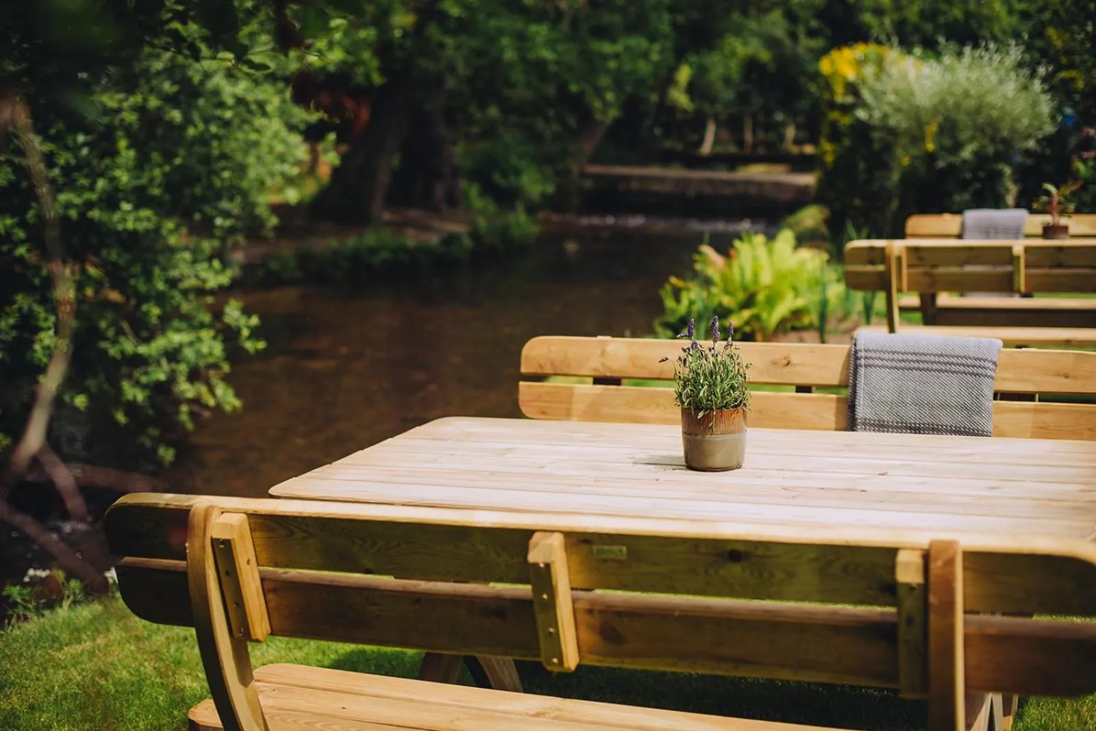 Garden in The Drummond at Albury
