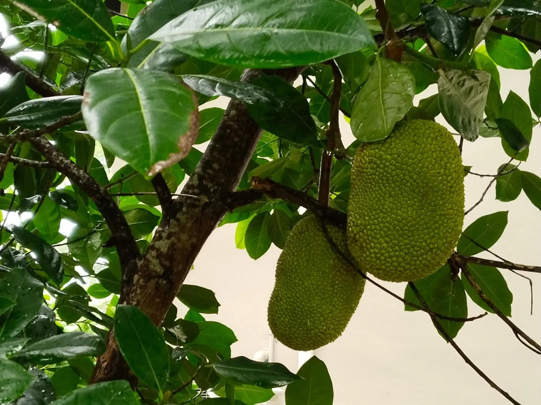 Natural landscape in Bang Po Hut