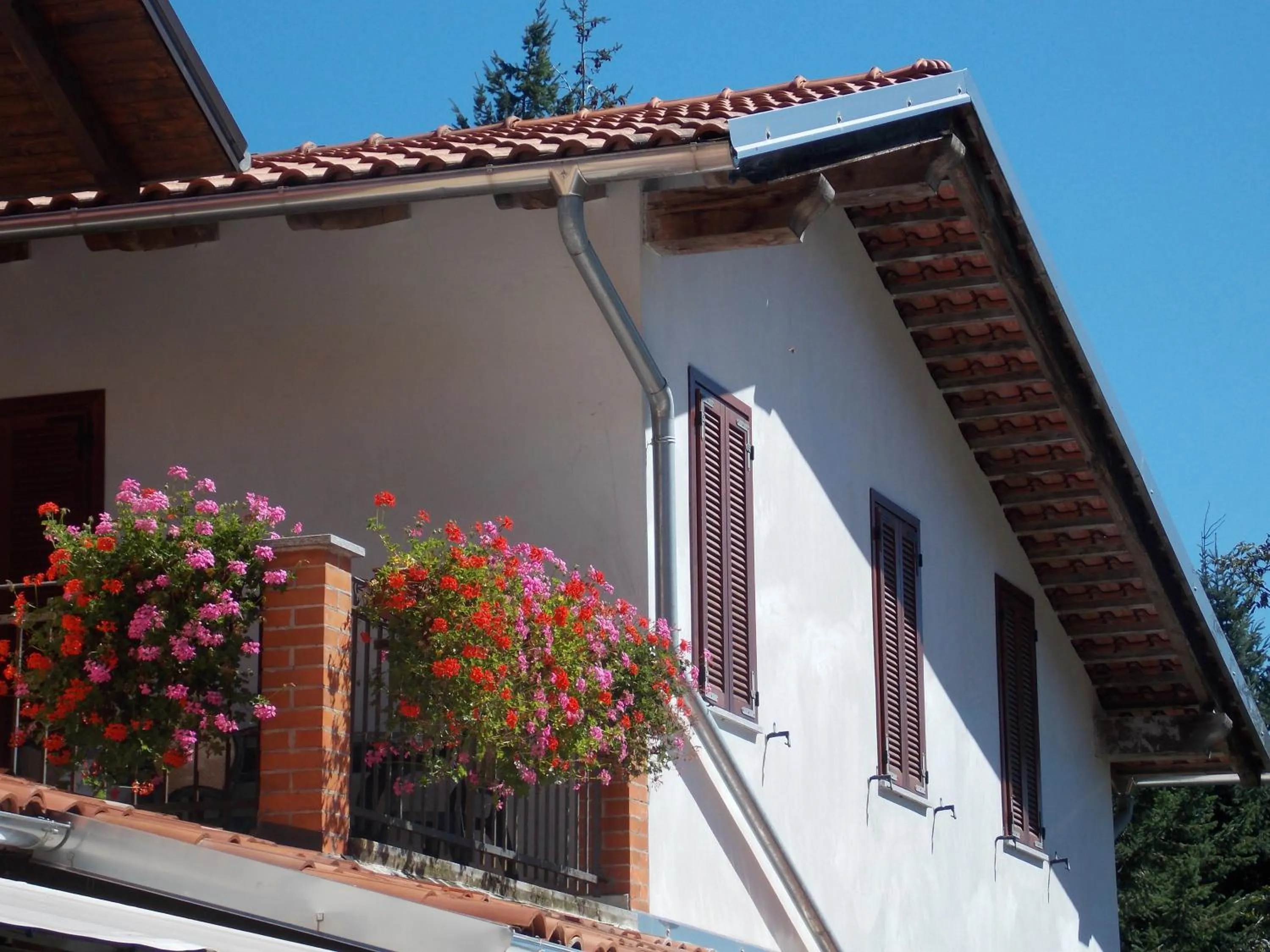 Property building in L'Erbavoglio