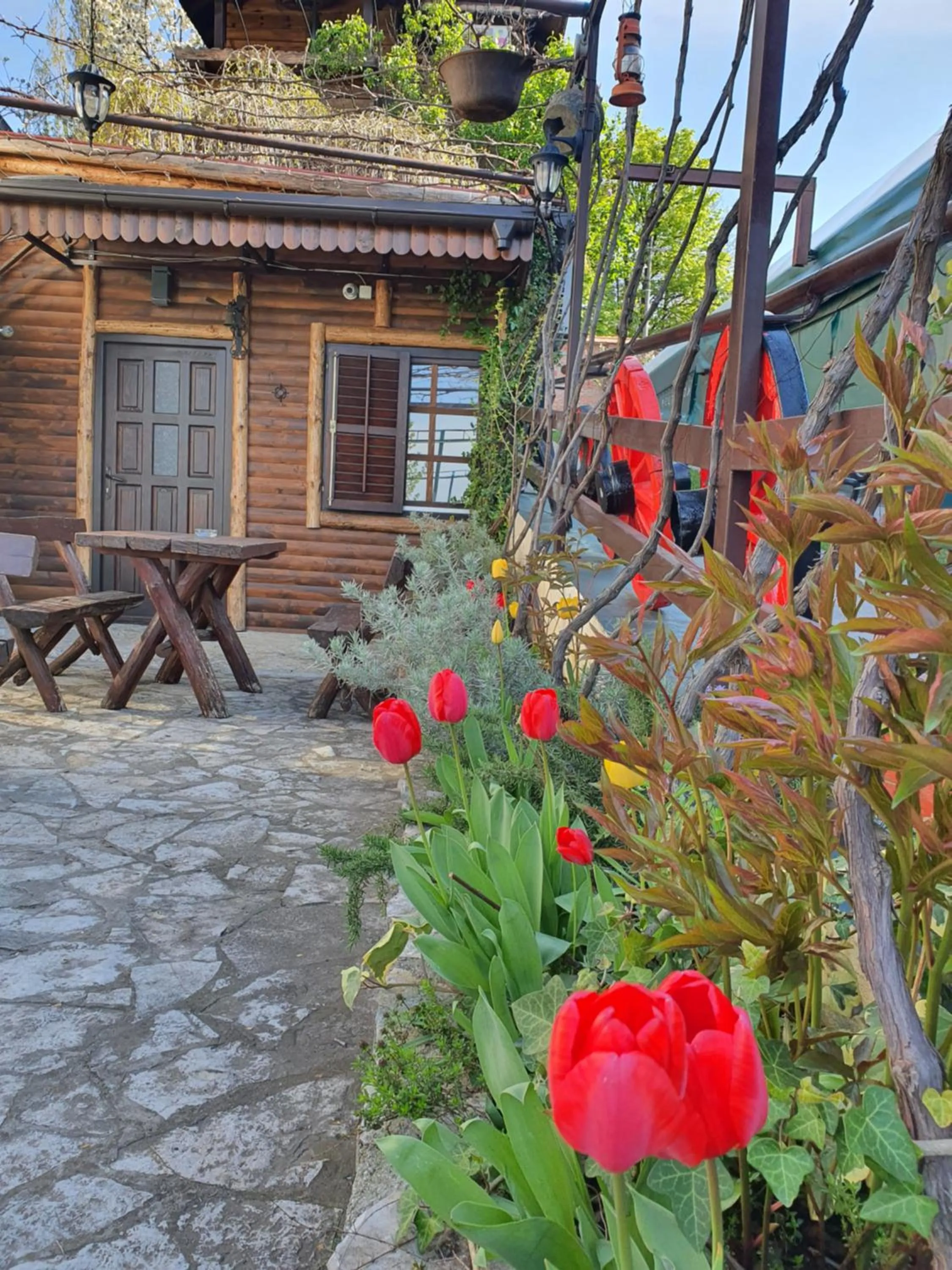 Garden in Rooms Green Set