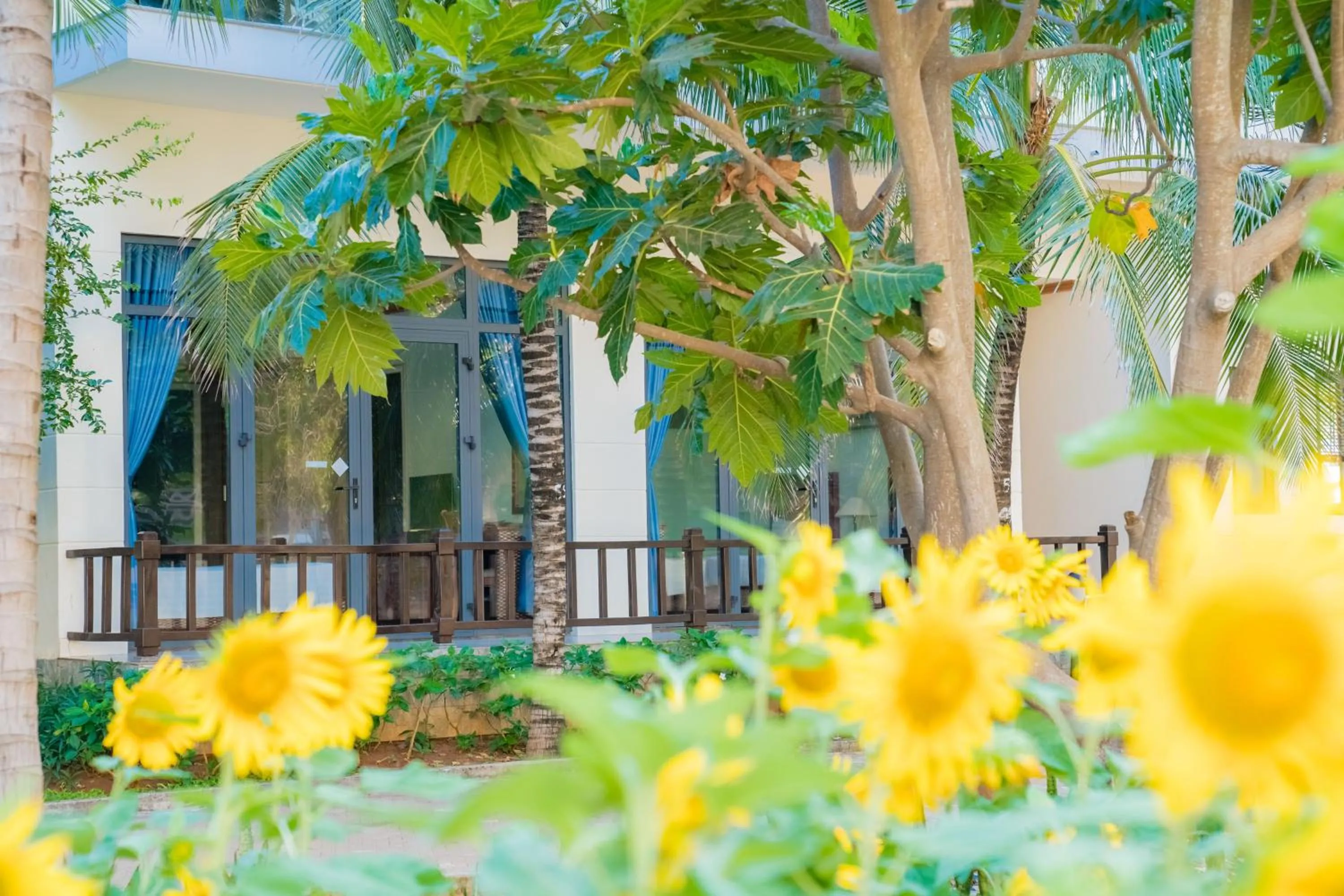 Garden view in Lotus Vung Tau Resort & Spa