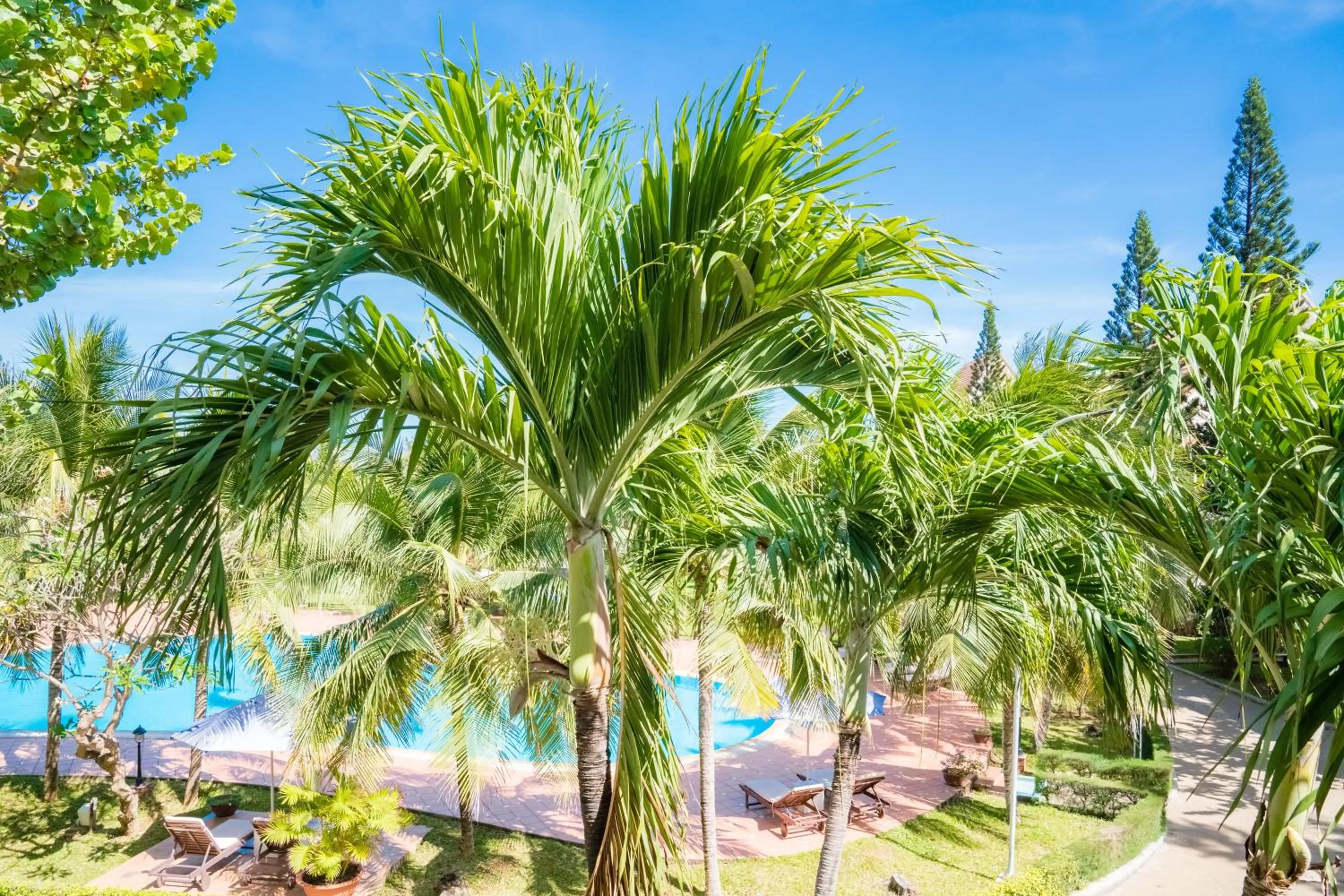 Swimming pool in Lotus Vung Tau Resort & Spa