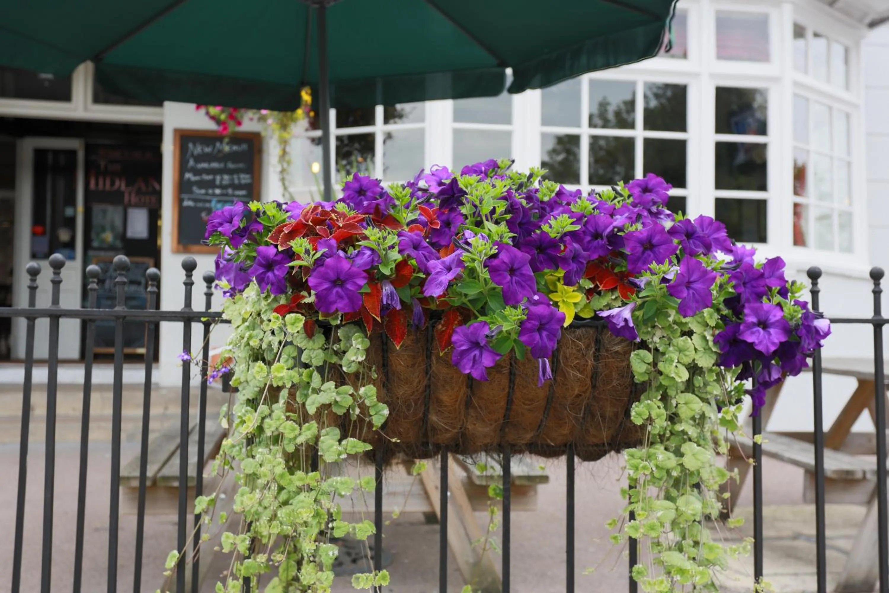 Other in The Midland