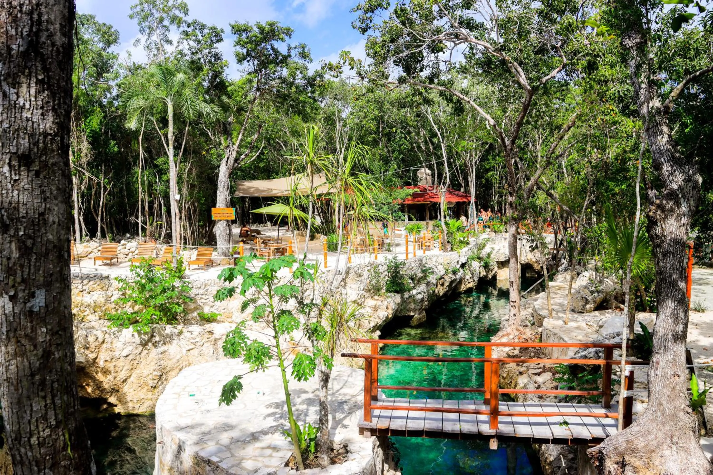 Natural landscape in Hotel Casa Tortuga Tulum - Cenotes Park Inclusive