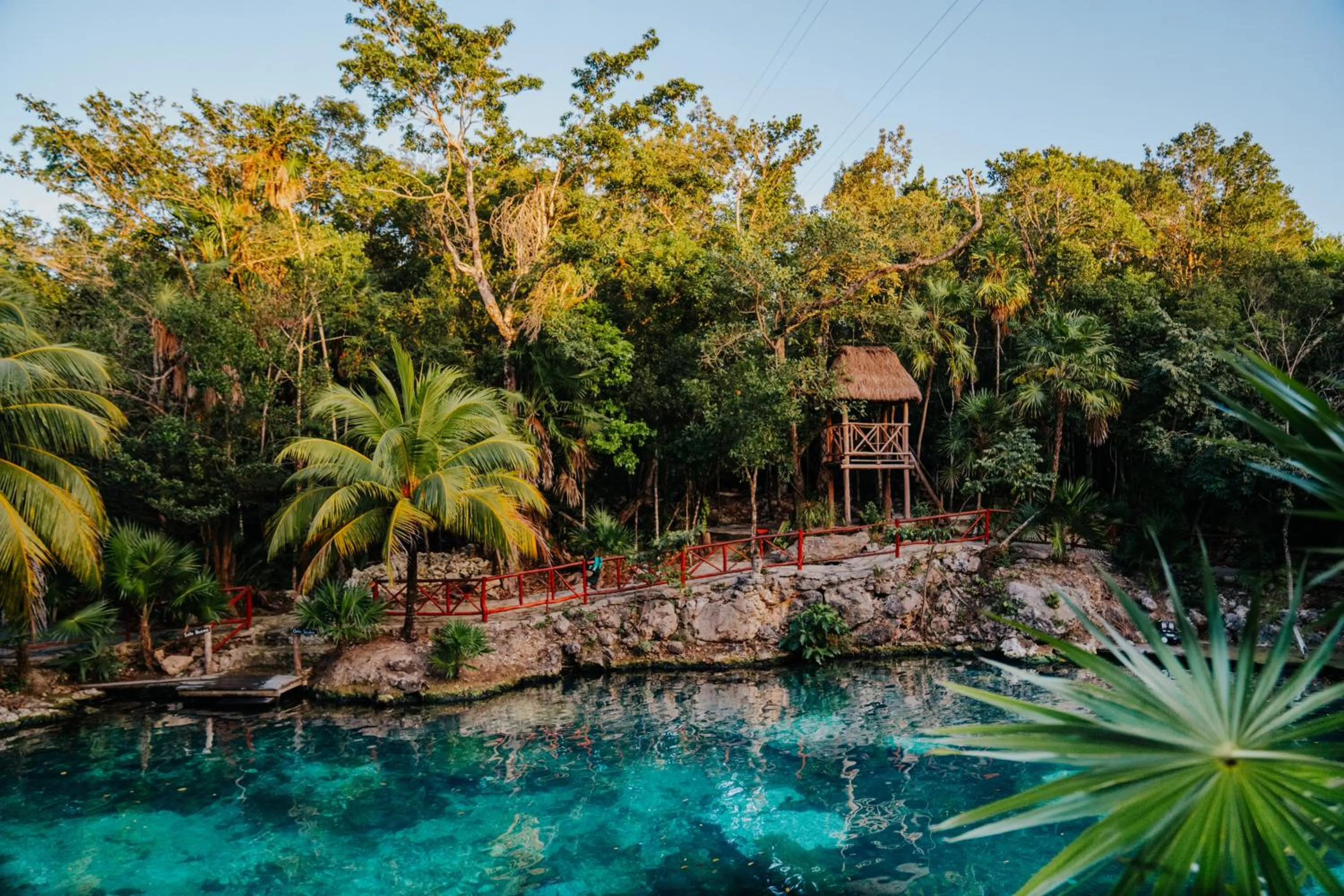 Natural landscape in Hotel Casa Tortuga Tulum - Cenotes Park Inclusive