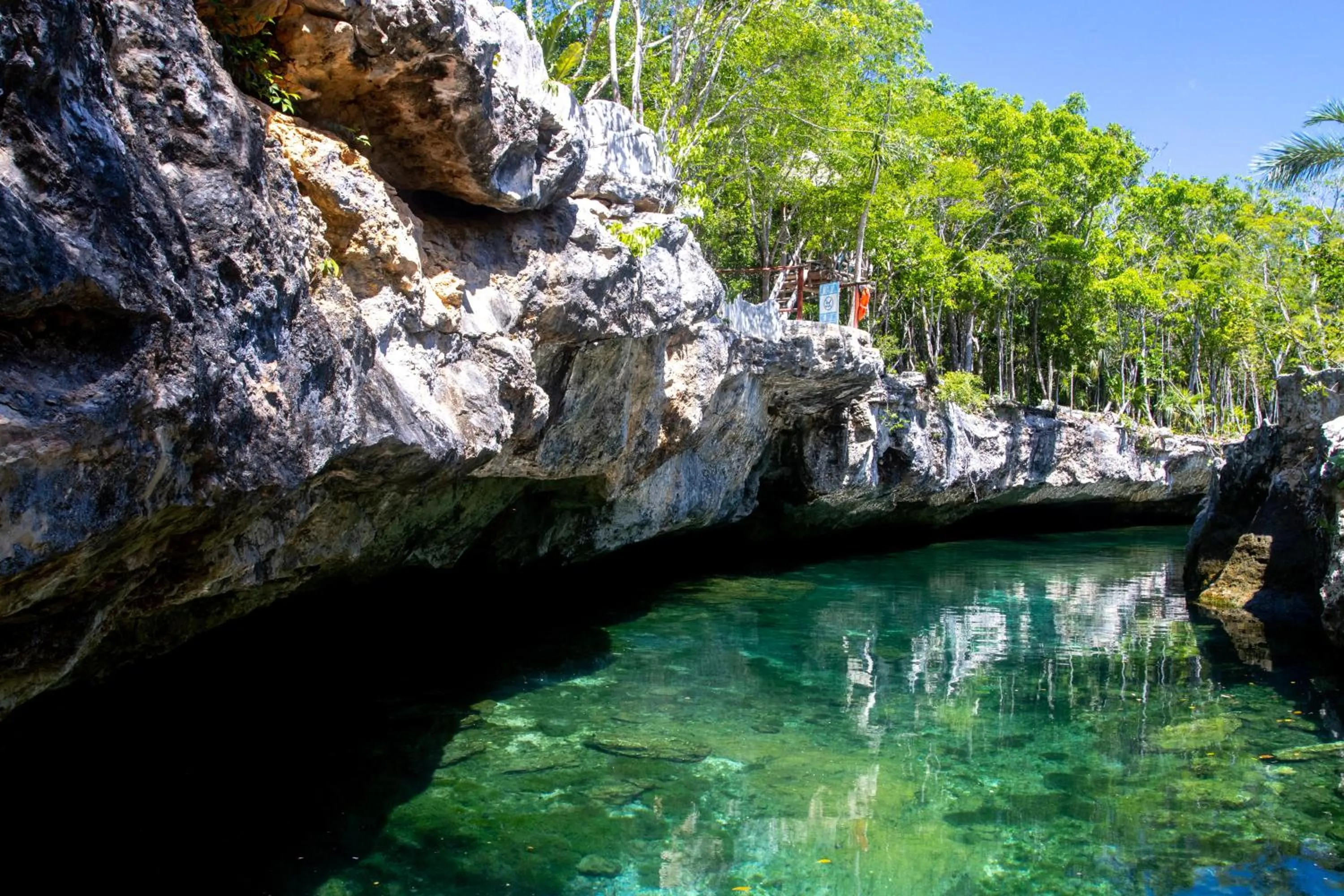 Natural landscape in Hotel Casa Tortuga Tulum - Cenotes Park Inclusive