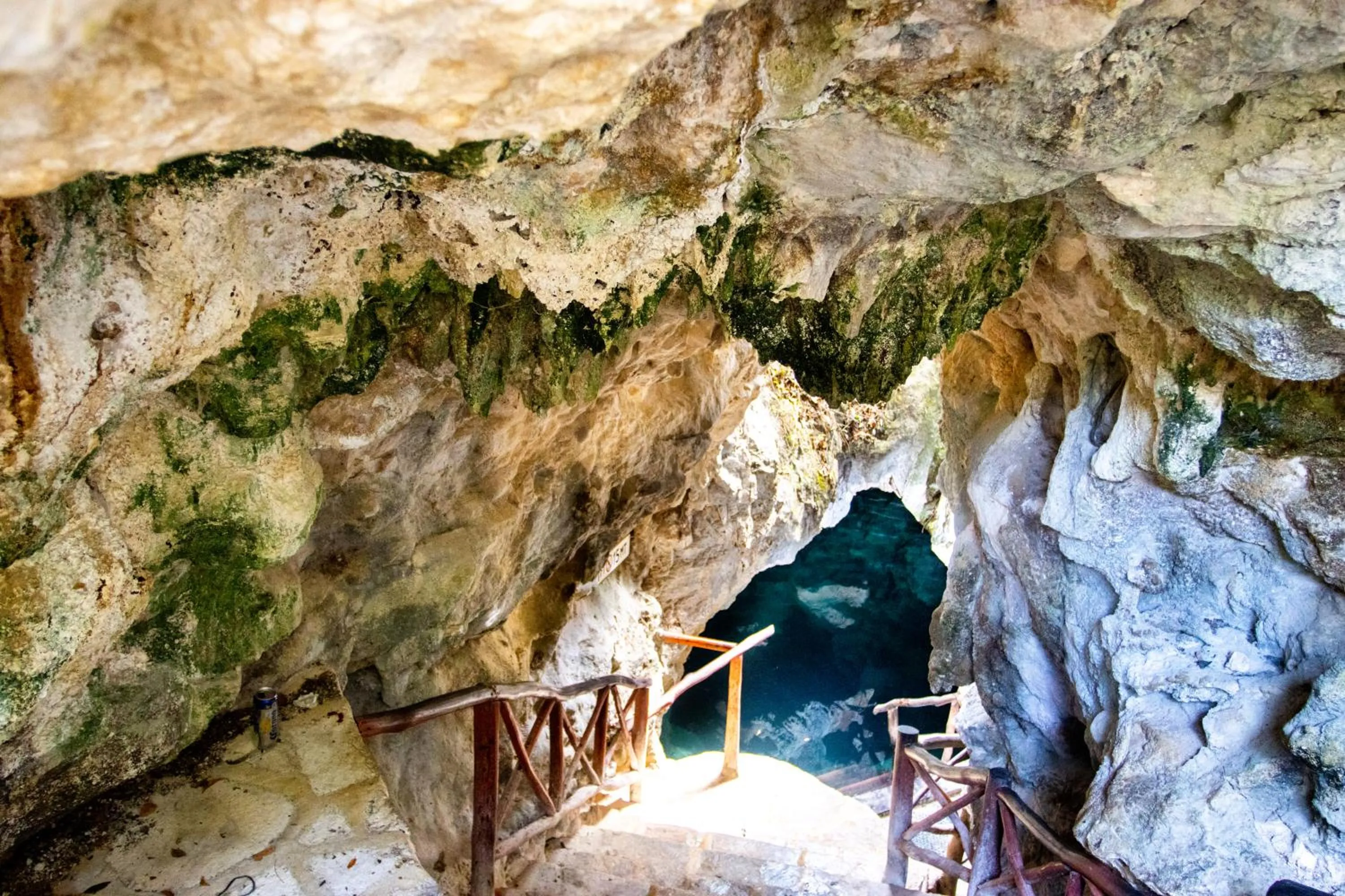 Natural landscape in Hotel Casa Tortuga Tulum - Cenotes Park Inclusive