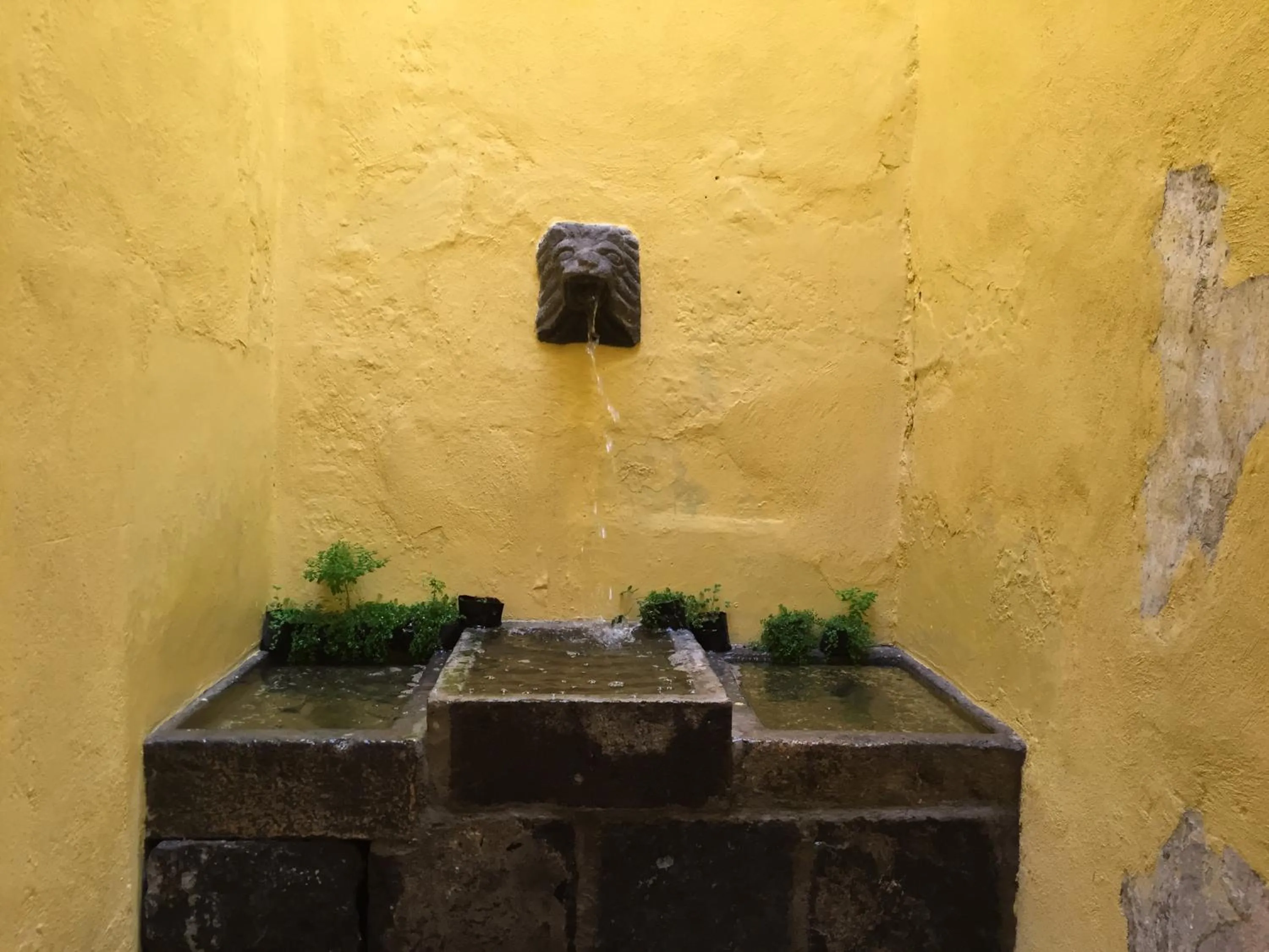 Patio in Hotel Boutique Posada XVII