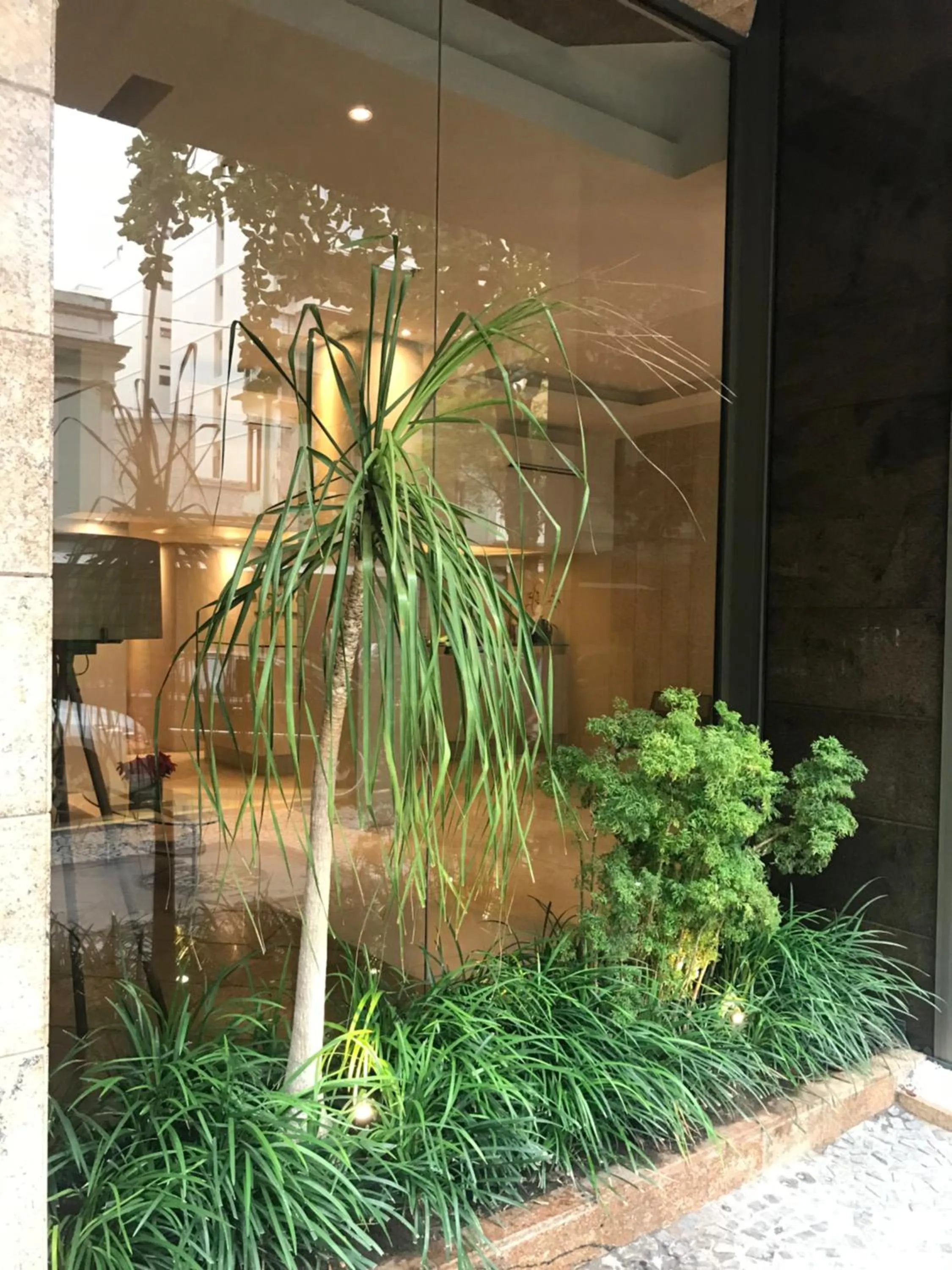 Garden in Leblon Flat