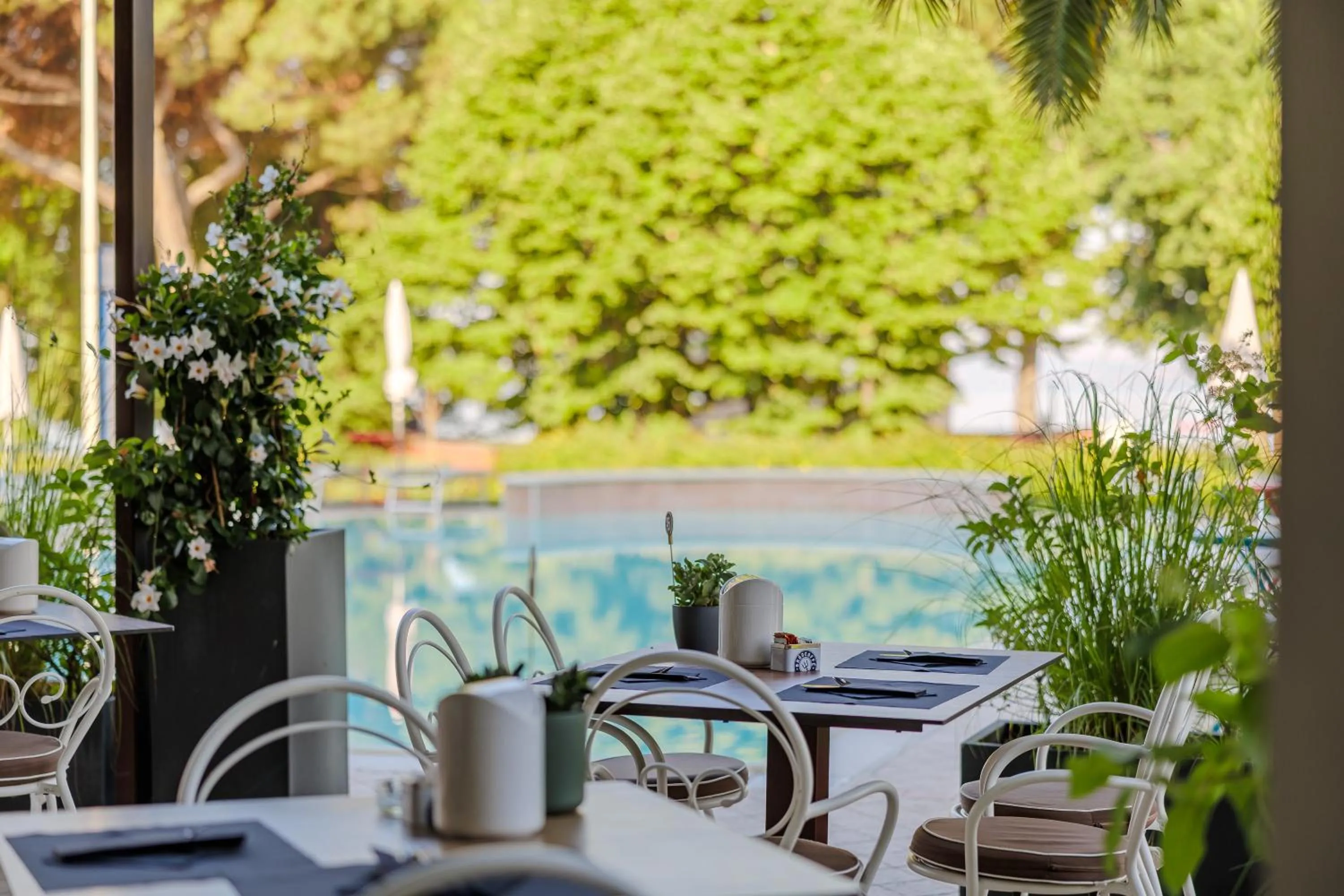 Lounge or bar in Hotel San Marco