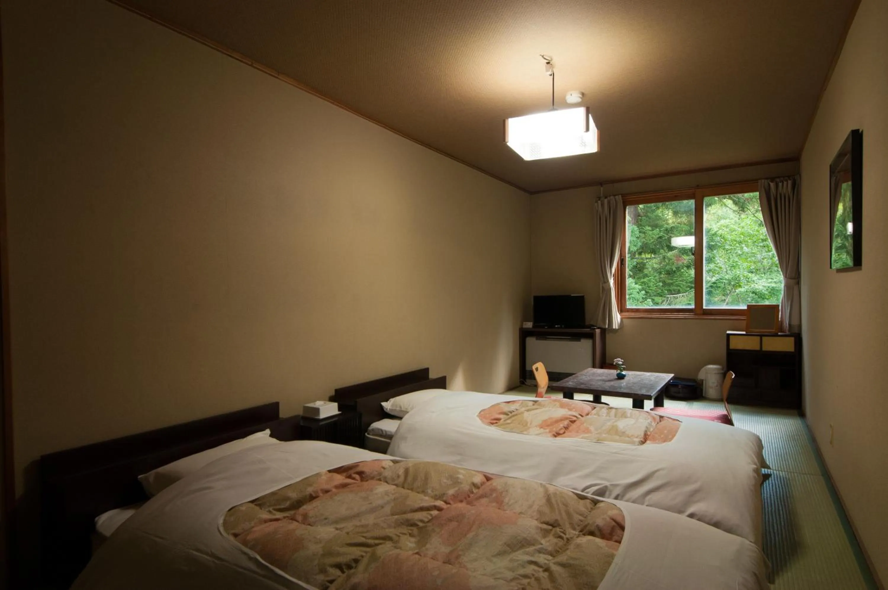 Photo of the whole room, Bed in Yachi Onsen