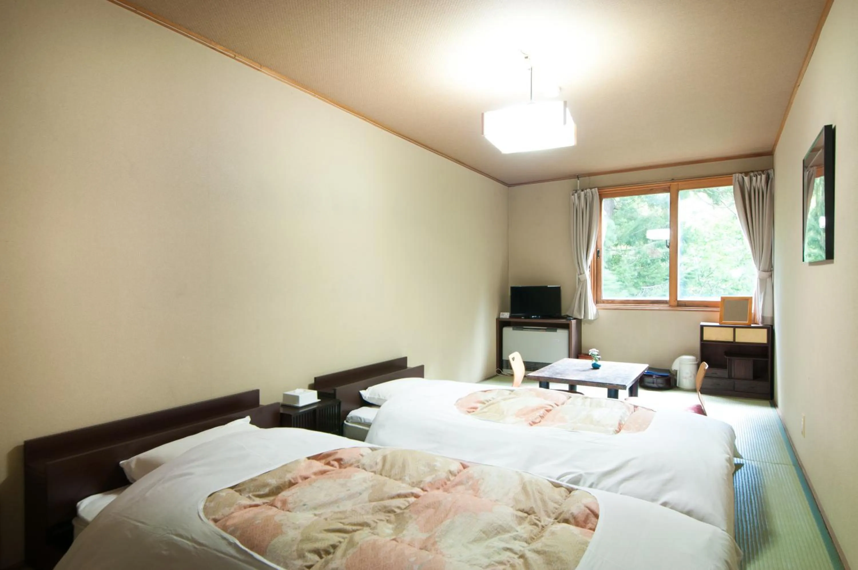 Photo of the whole room, Bed in Yachi Onsen
