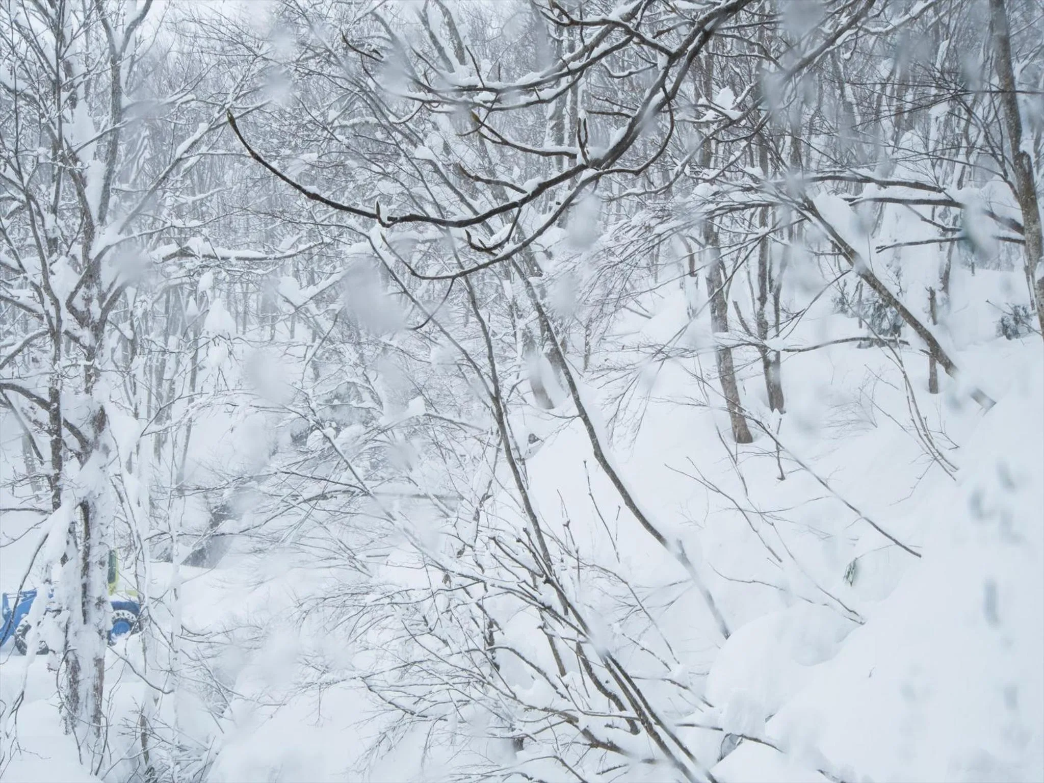 Property building in Yachi Onsen