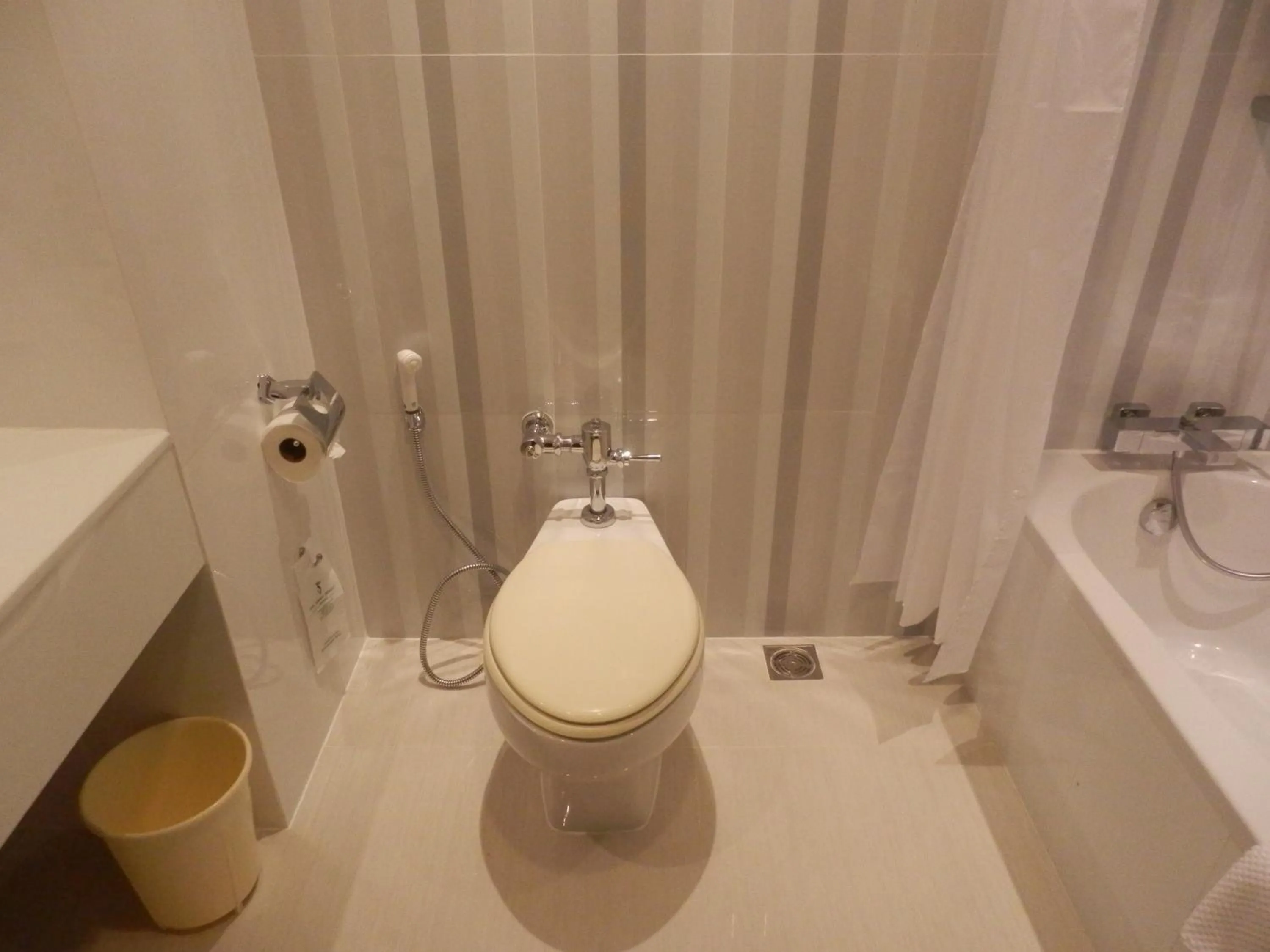 Toilet in Sir James Resort